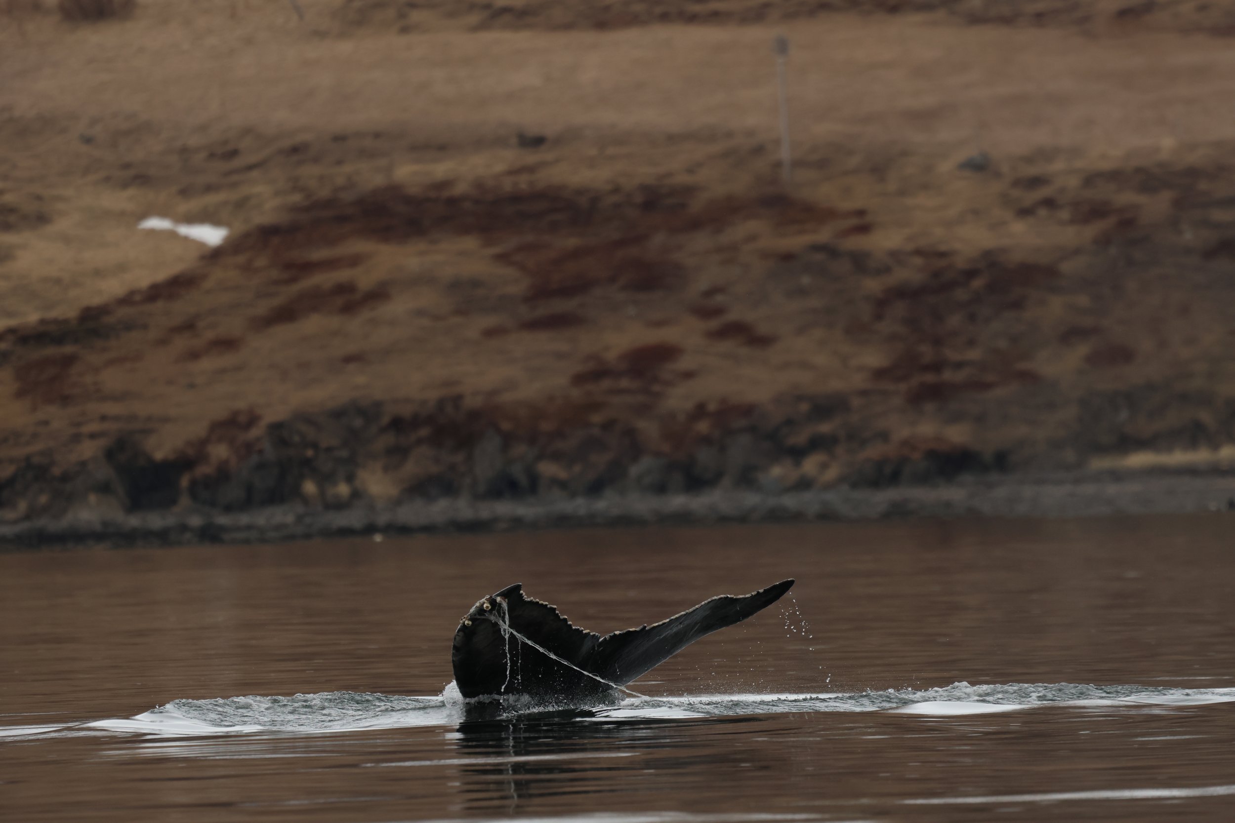 Friday, 3 May 2024