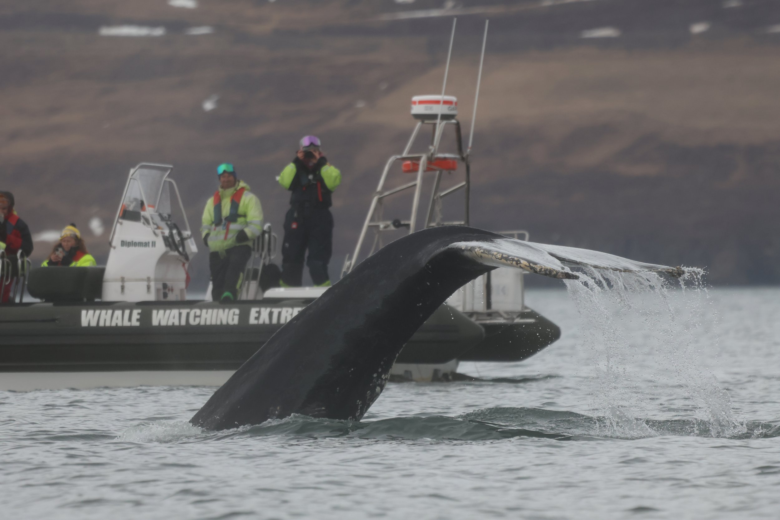 Friday, 3 May 2024