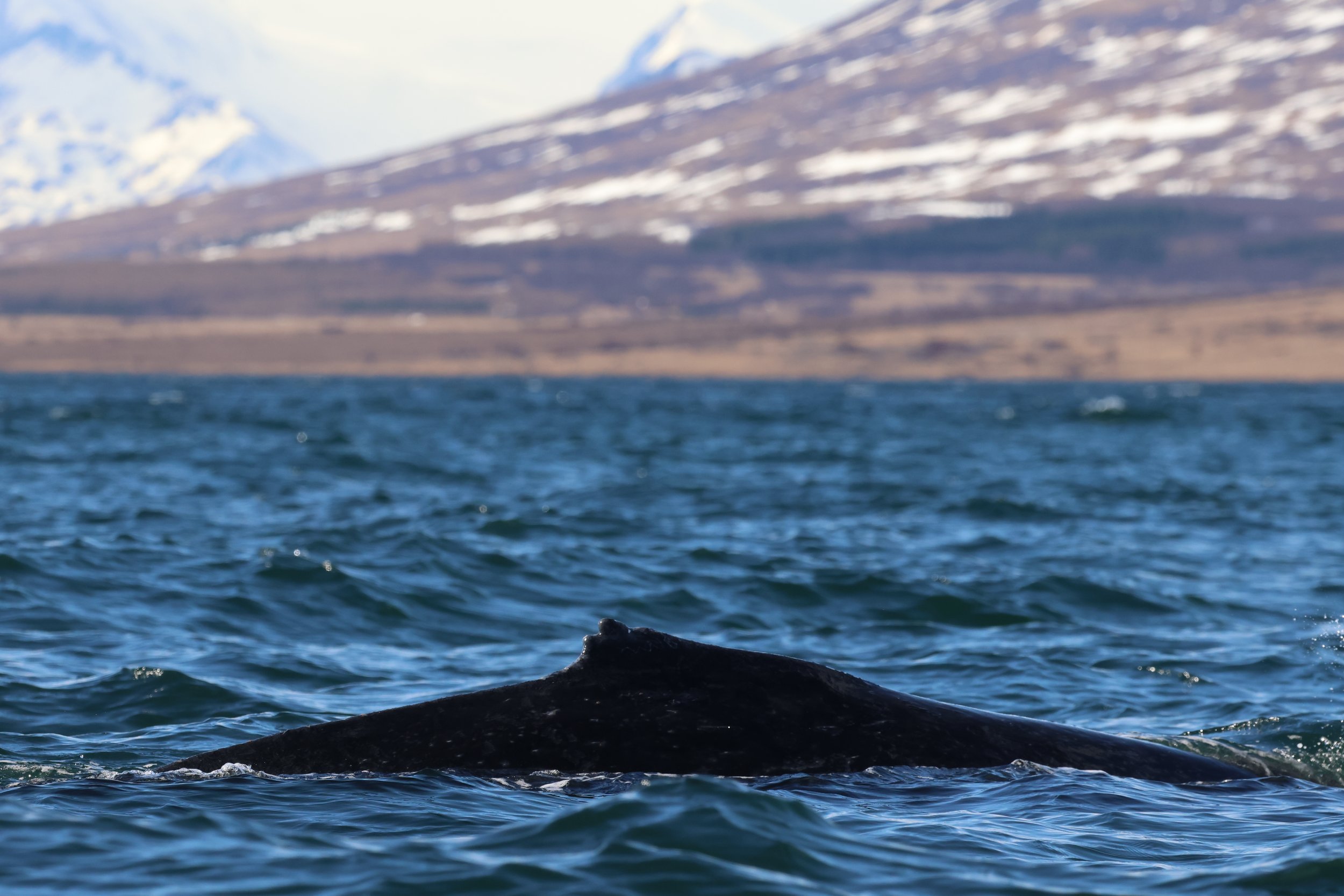 Wednesday, 8 May 2024