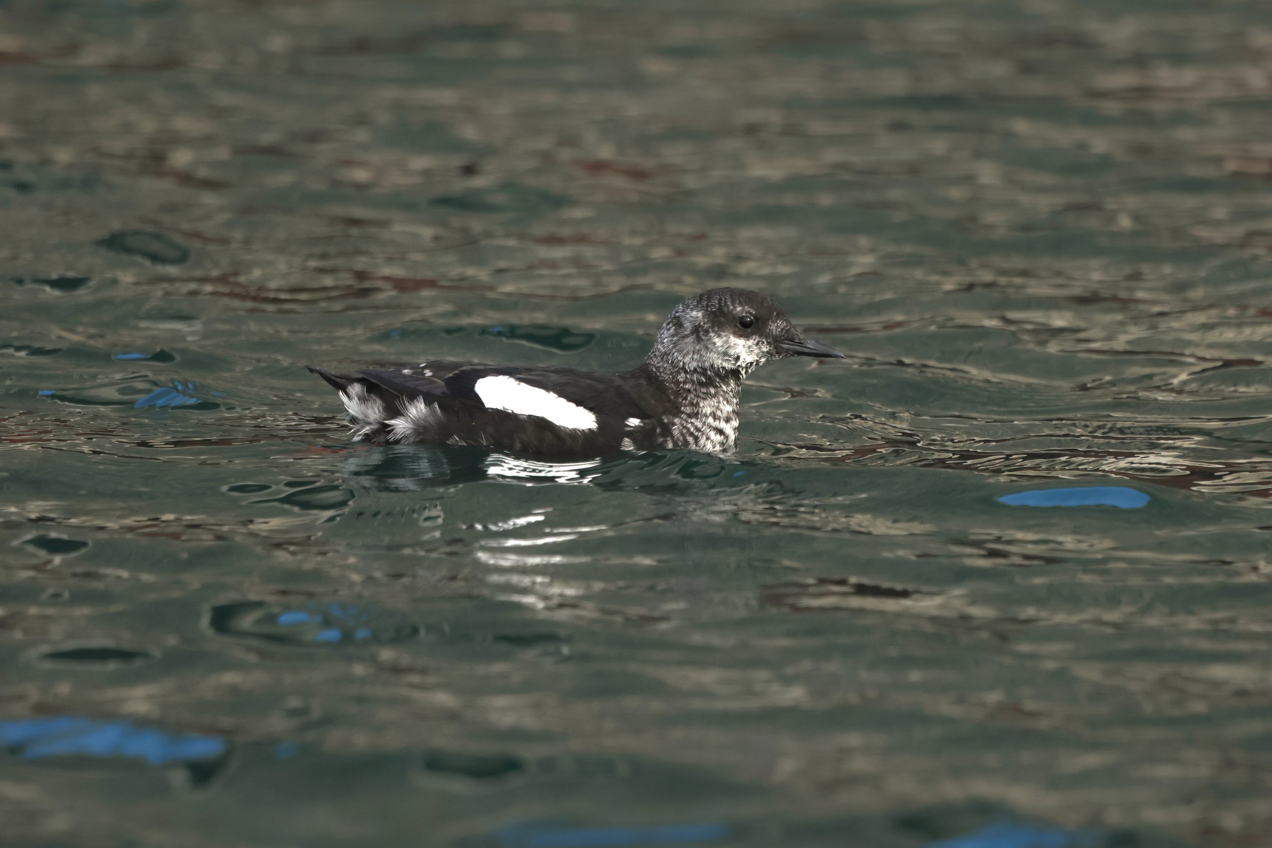 Wednesday, 8 May 2024