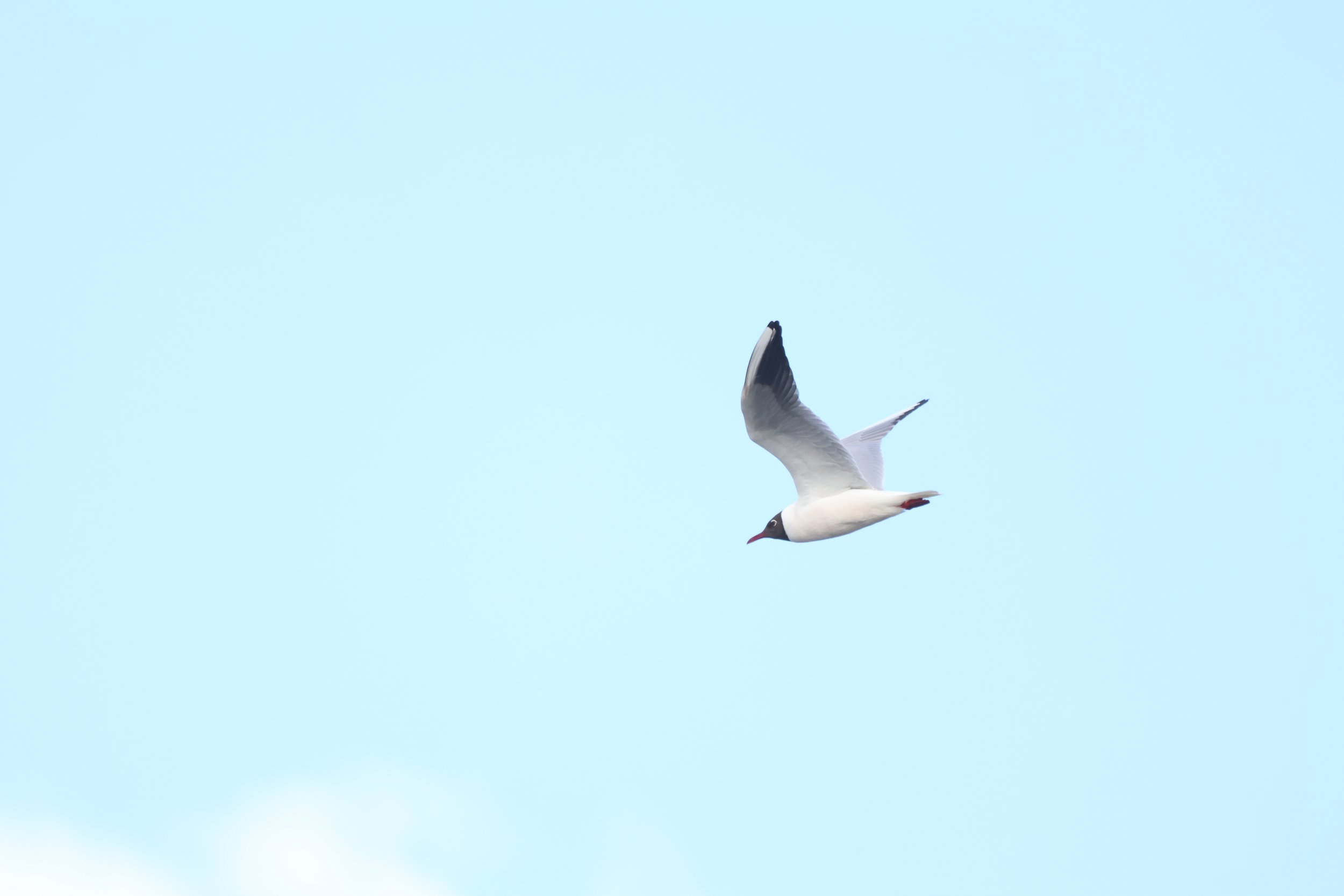 Wednesday, 8 May 2024