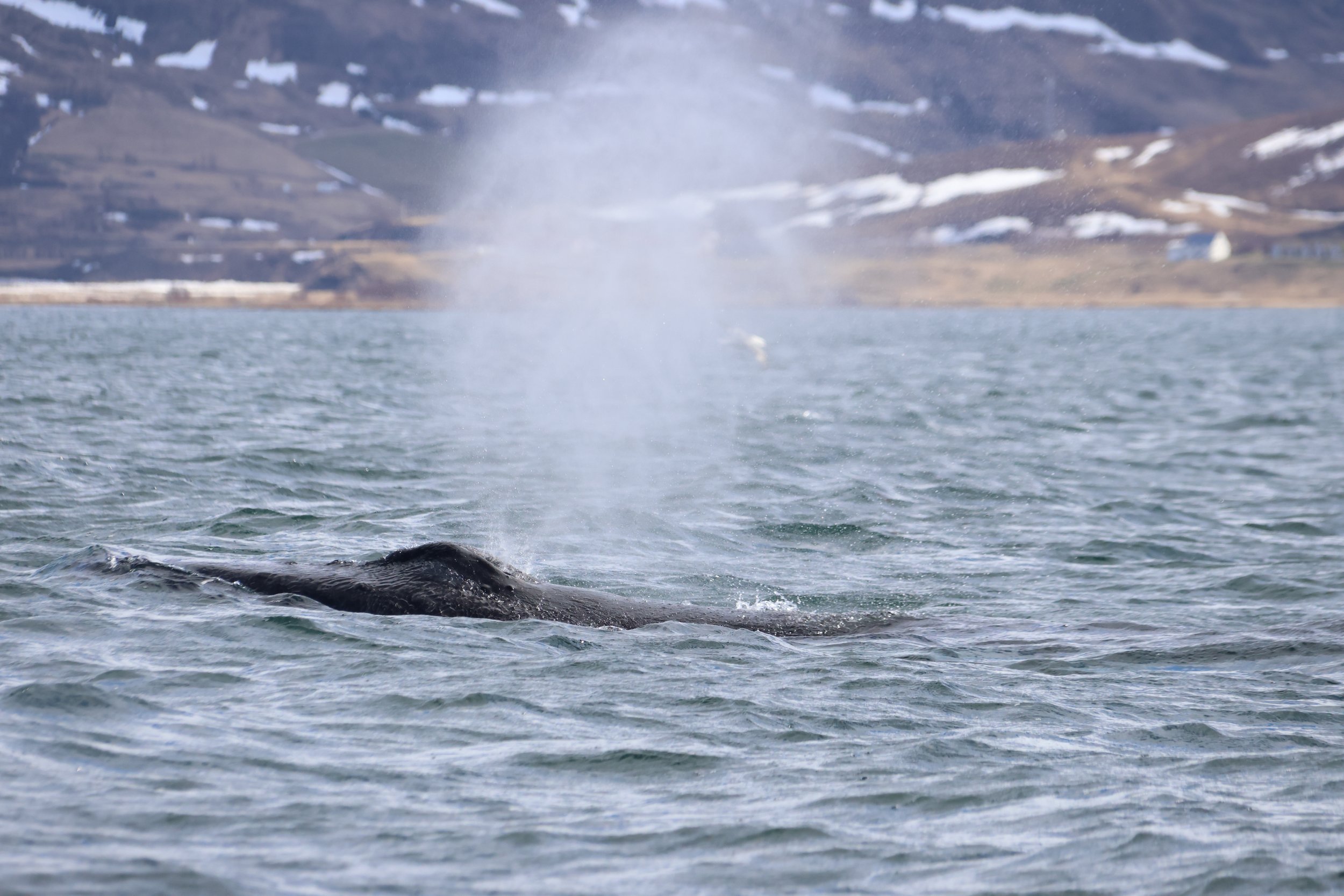 Thursday, 9 May 2024