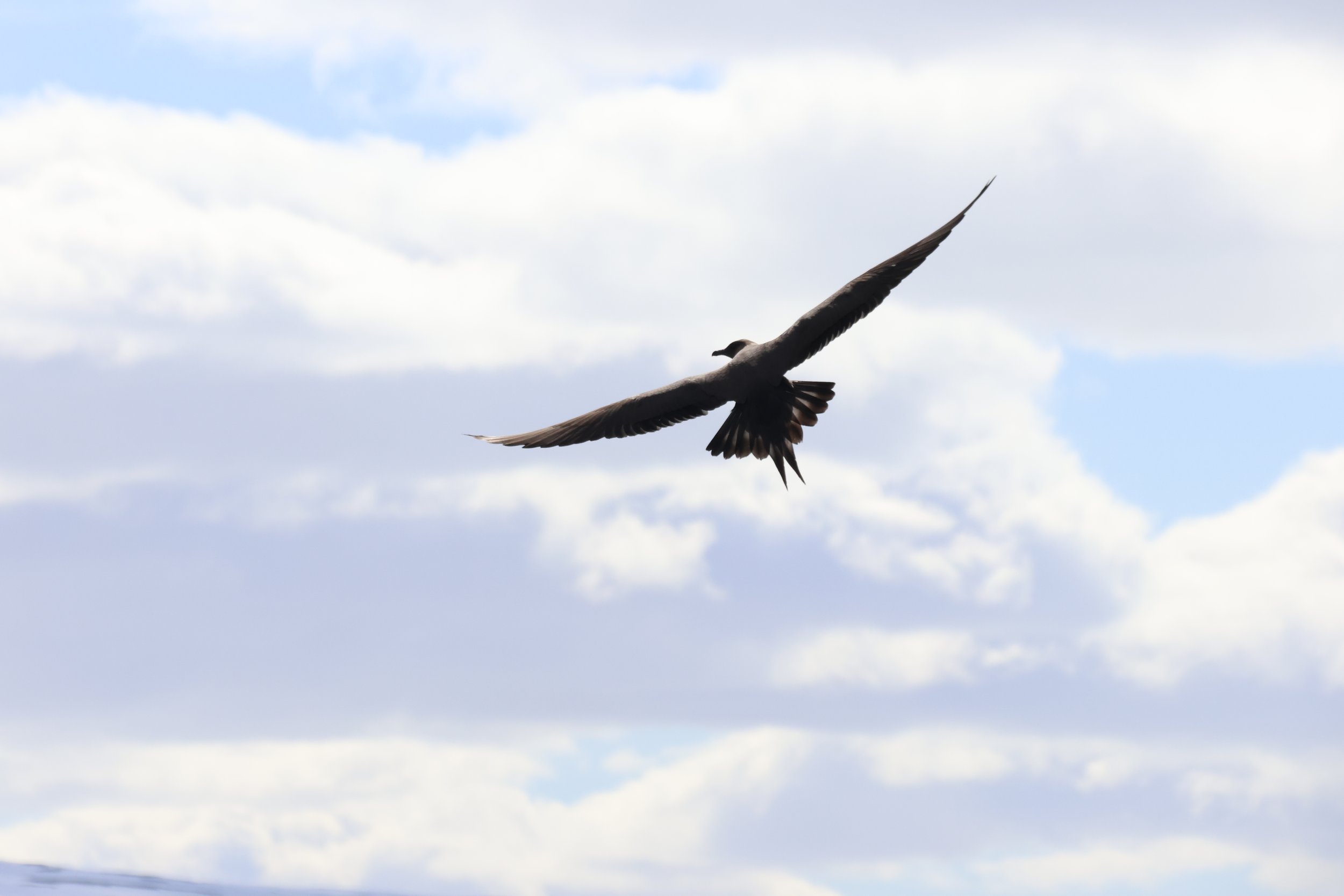 Thursday, 9 May 2024