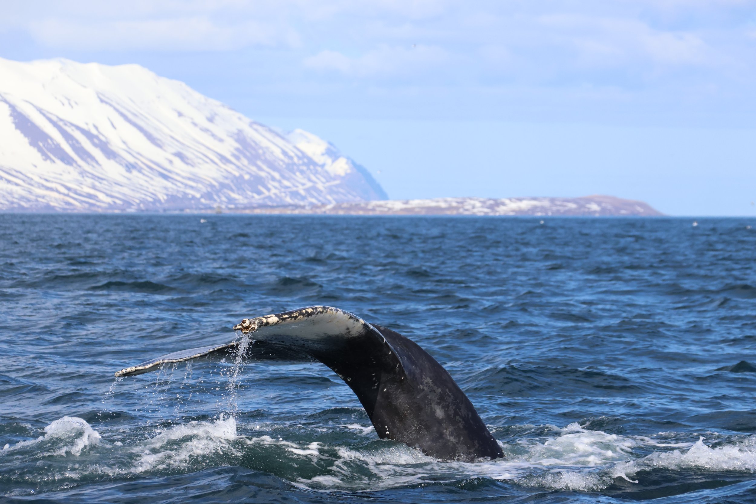 Thursday, 9 May 2024