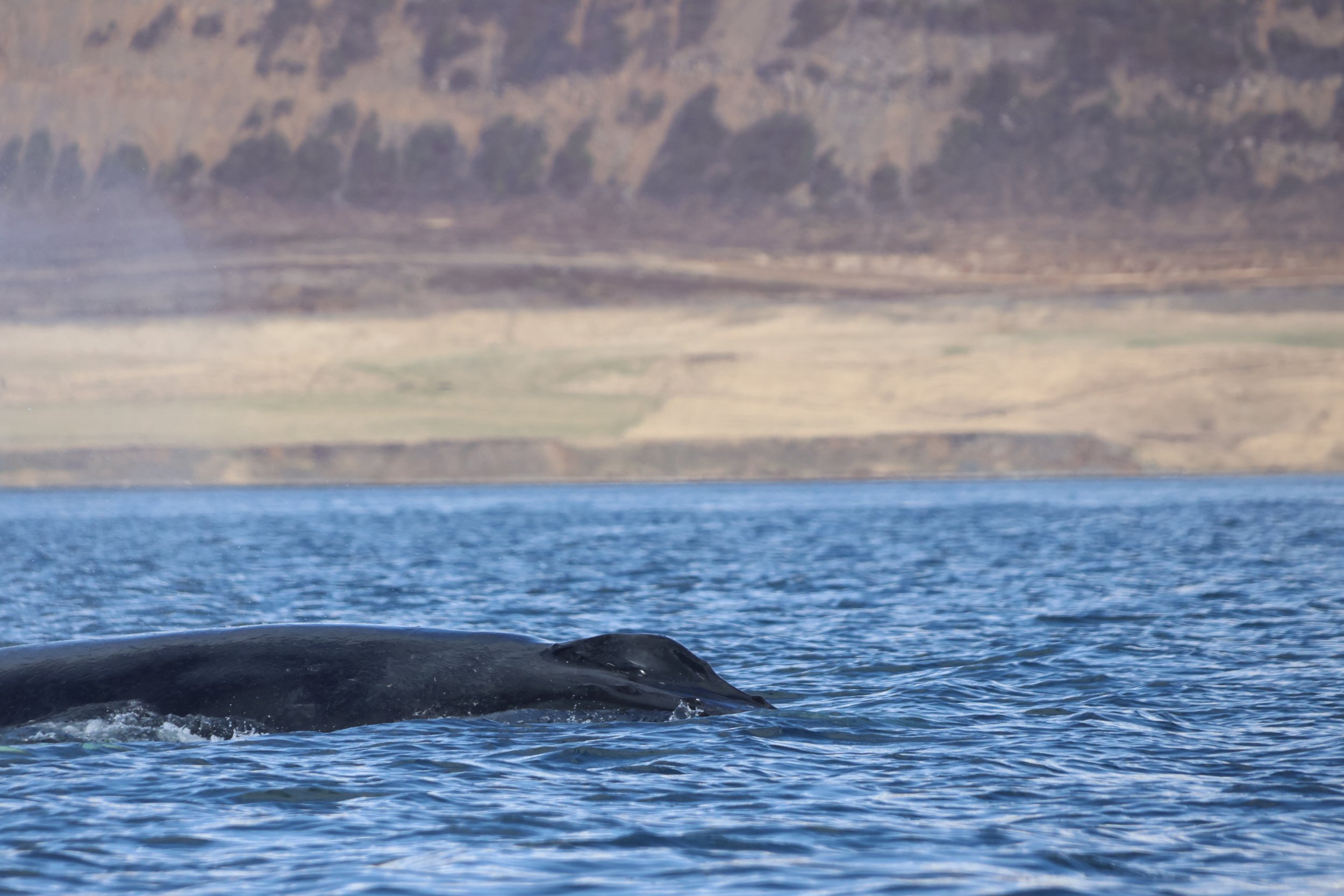 Thursday, 9 May 2024
