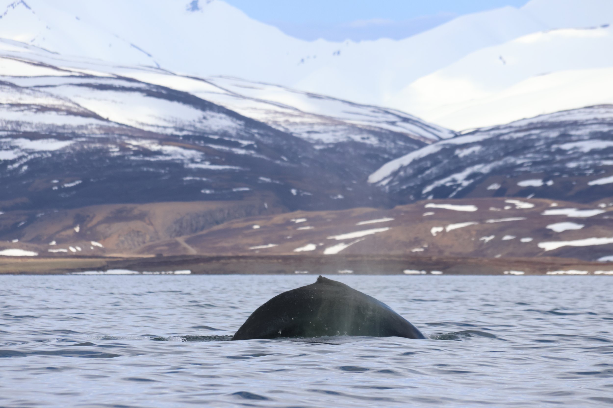 Thursday, 9 May 2024