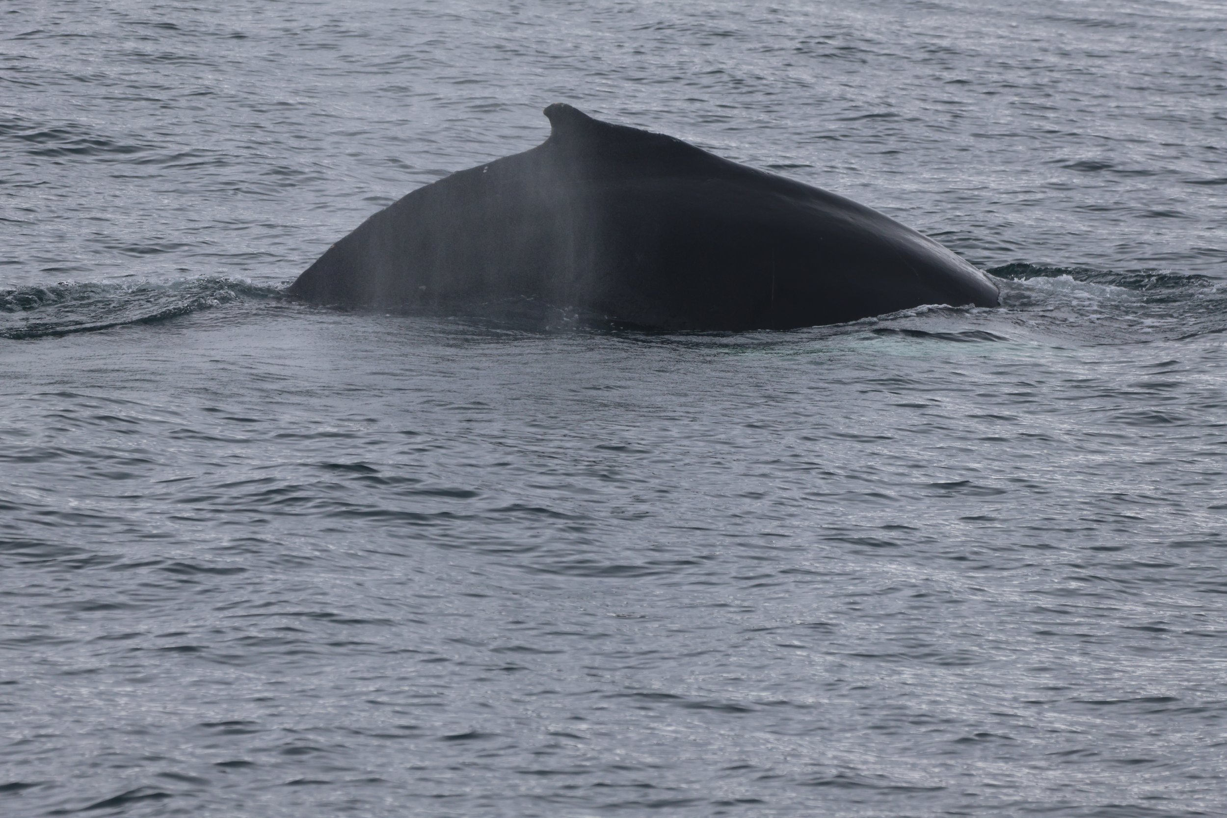 Monday, 20 May 2024