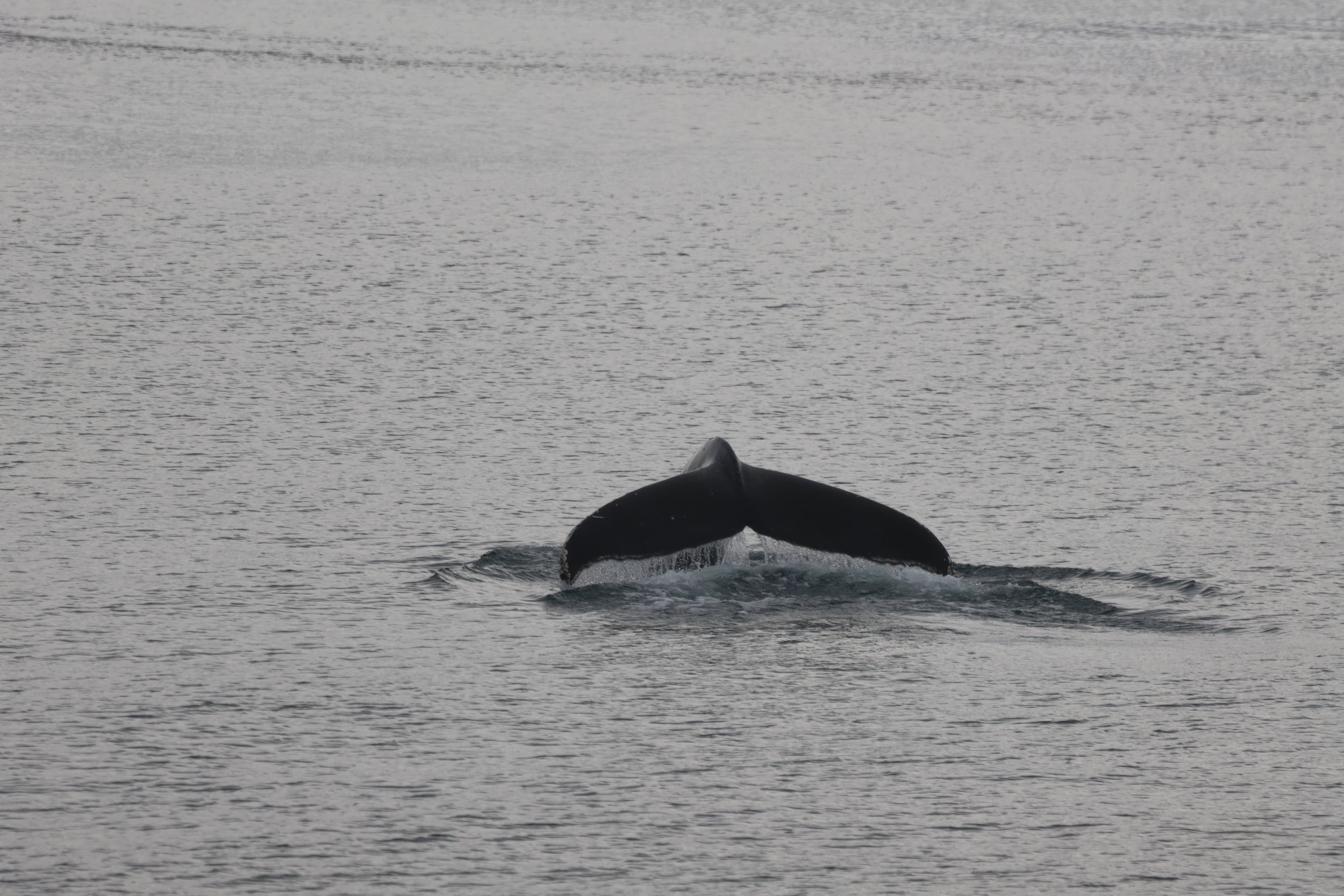 Monday, 20 May 2024