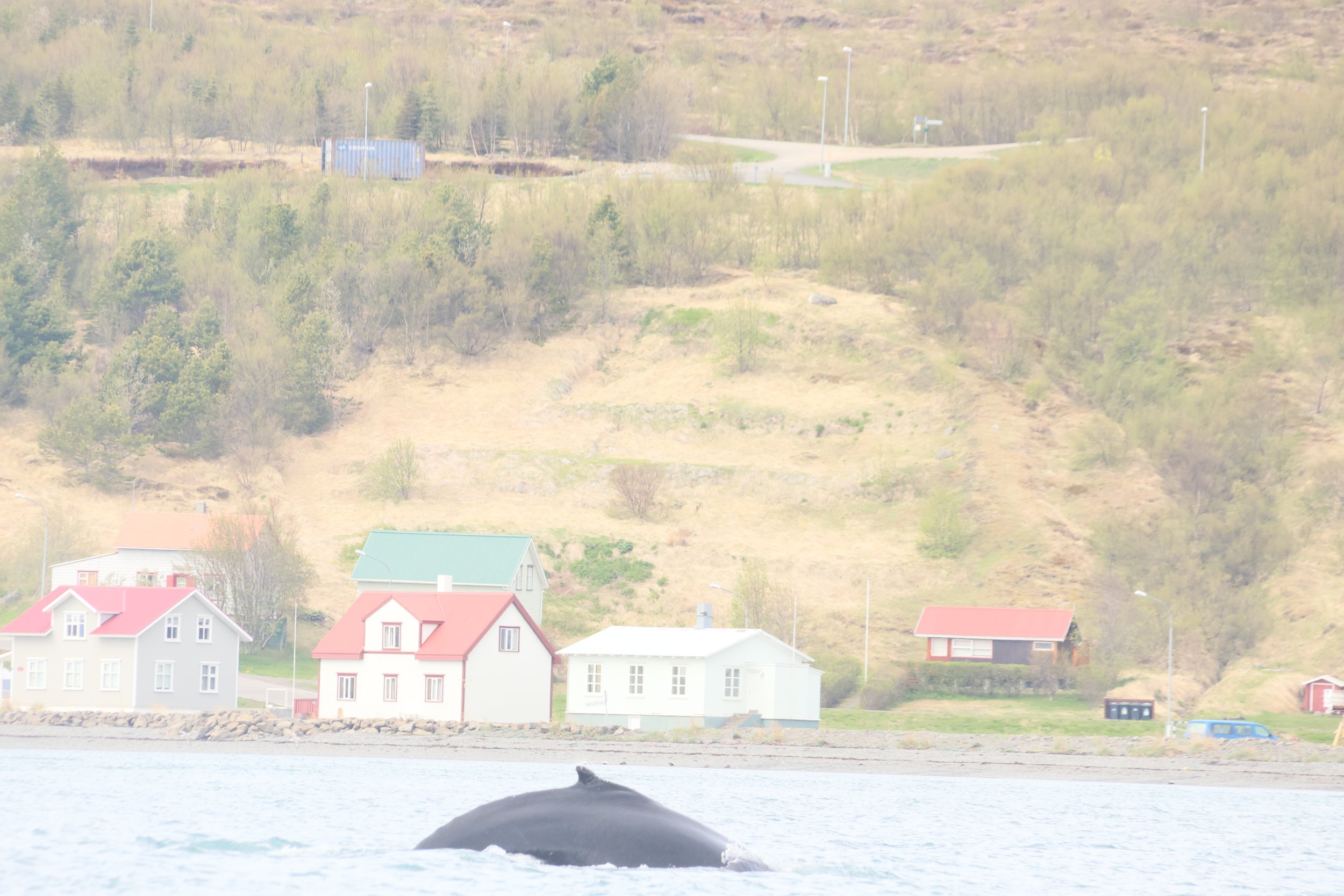 Monday, 27 May 2024