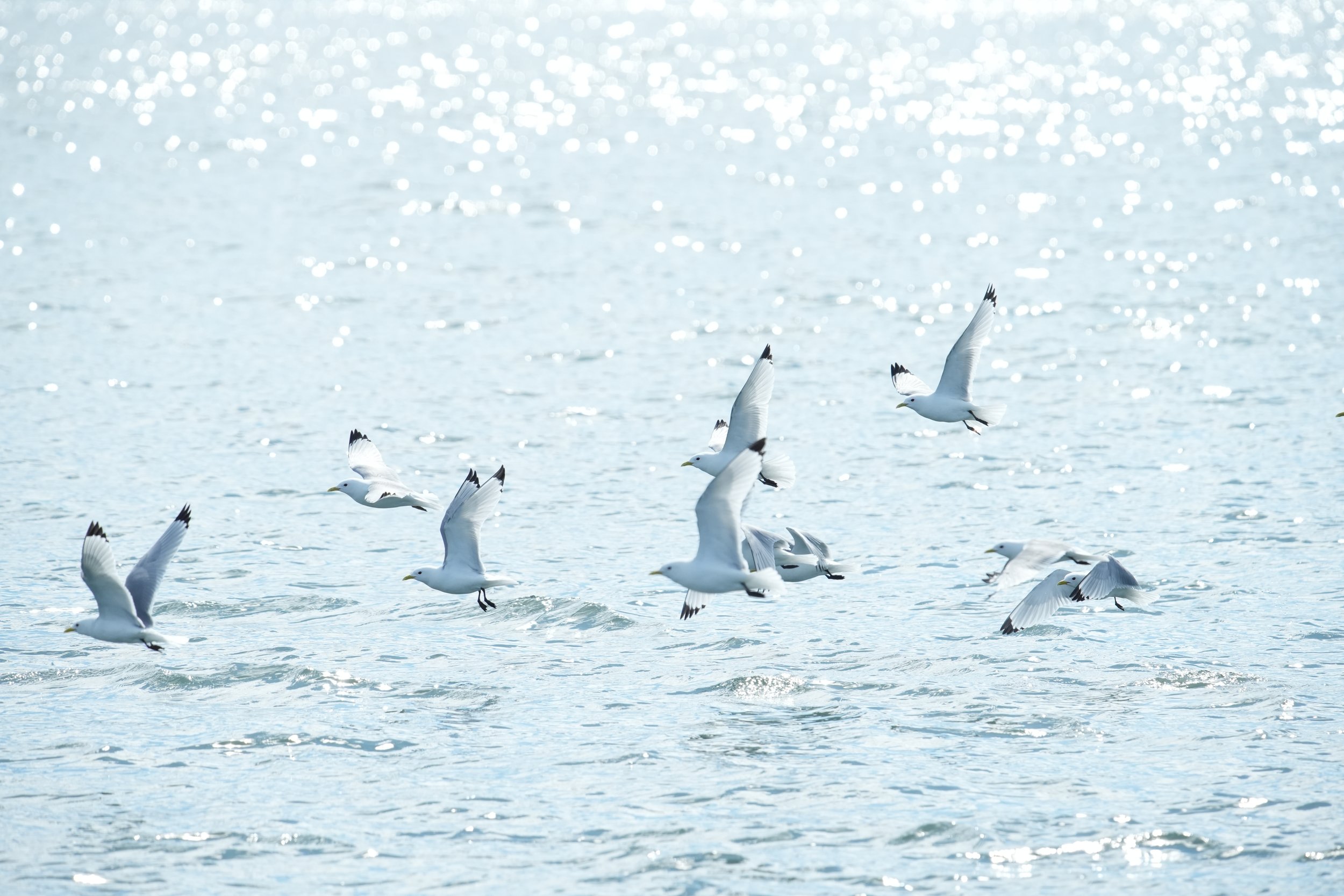 Tuesday, 28 May 2024