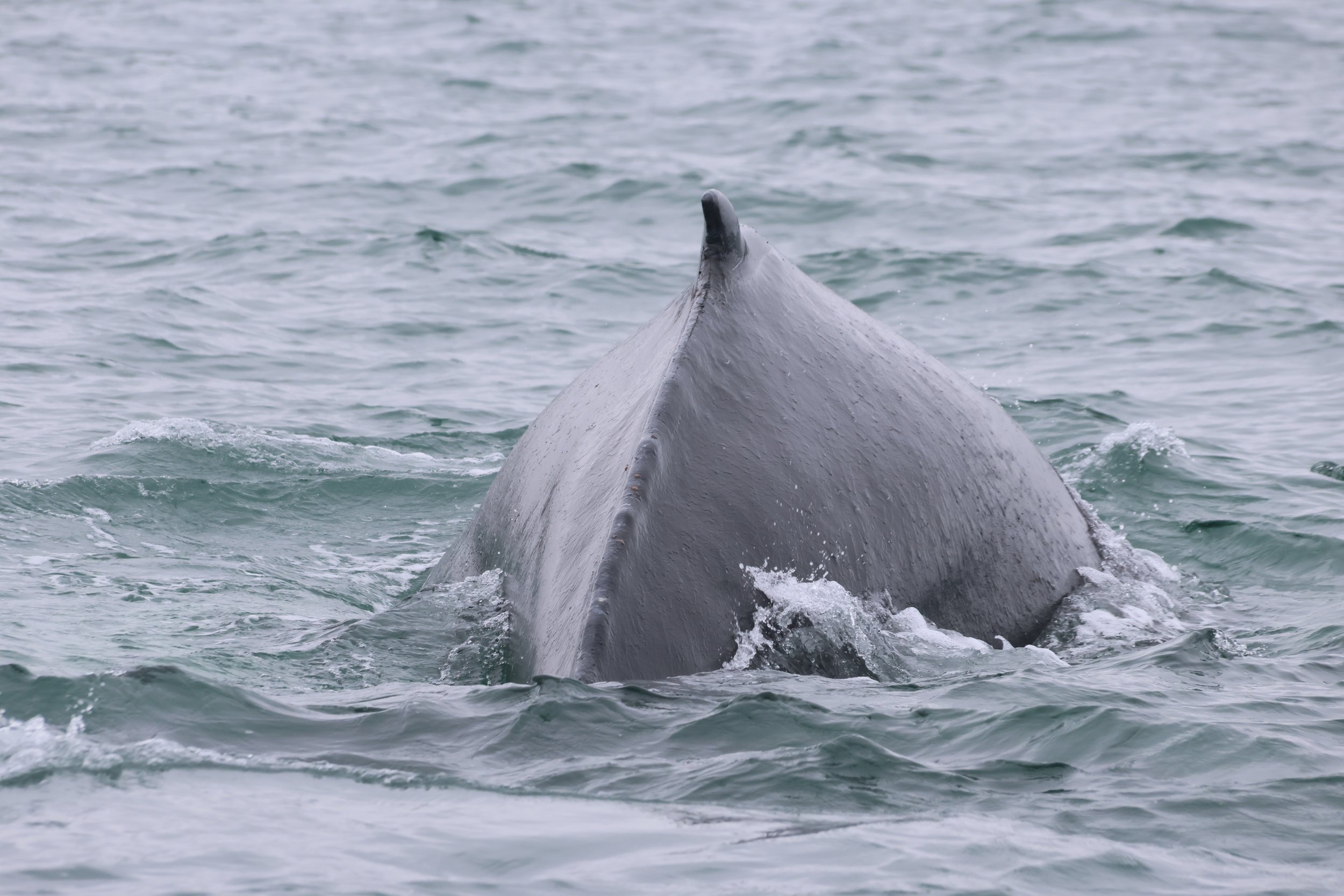 Wednesday, 29 May 2024