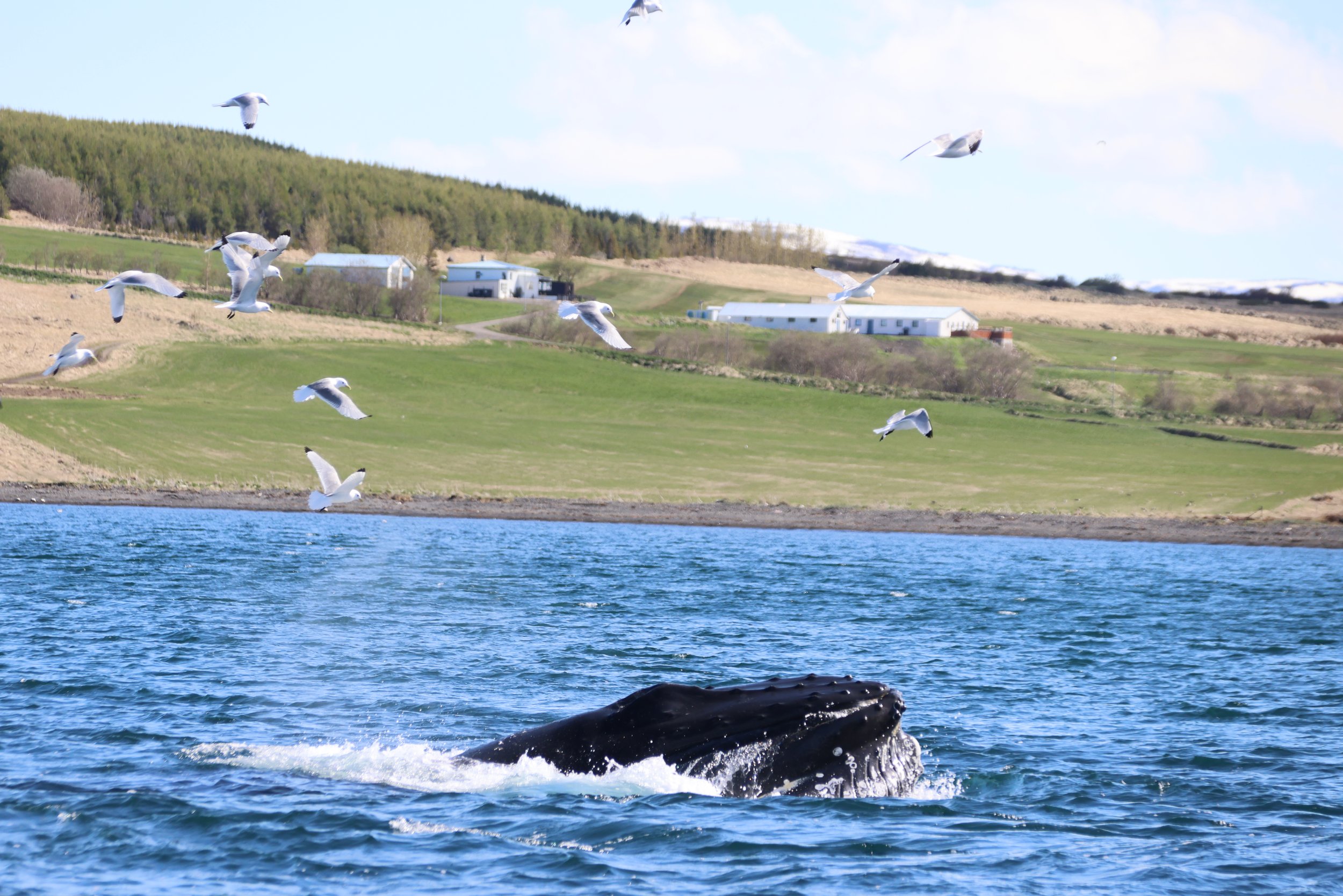 Thursday, 30 May 2024