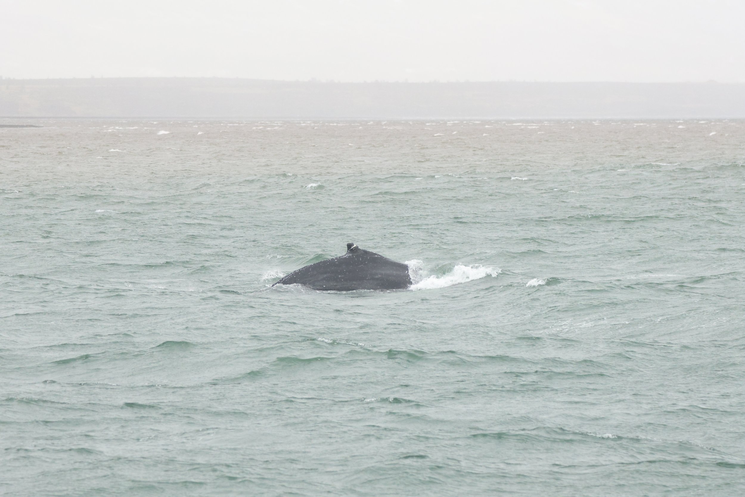 Monday, 3 June 2024