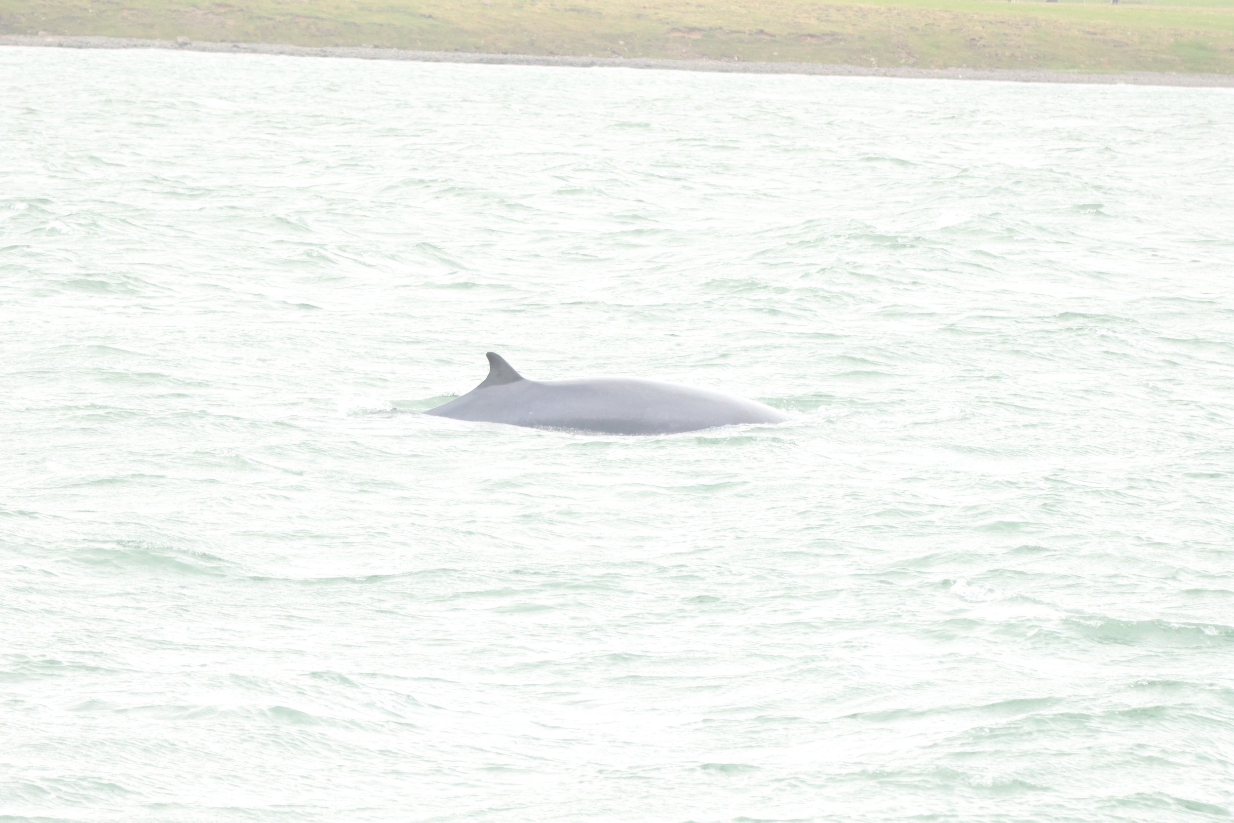 Monday, 3 June 2024