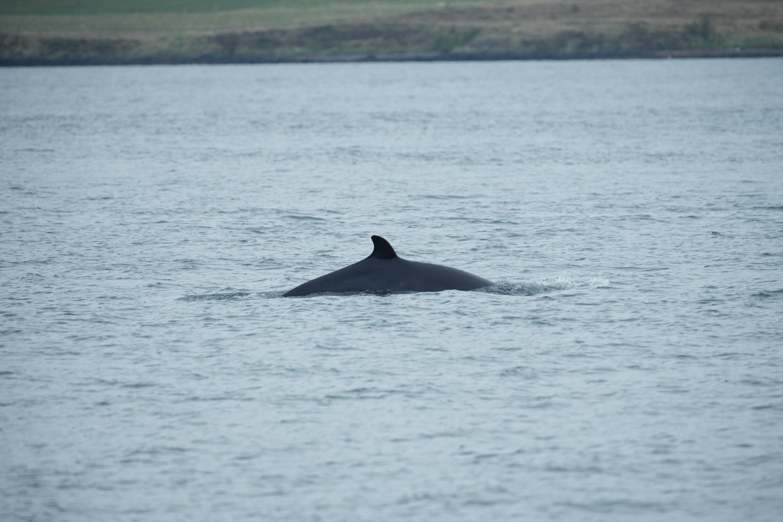 Monday, 10 June 2024