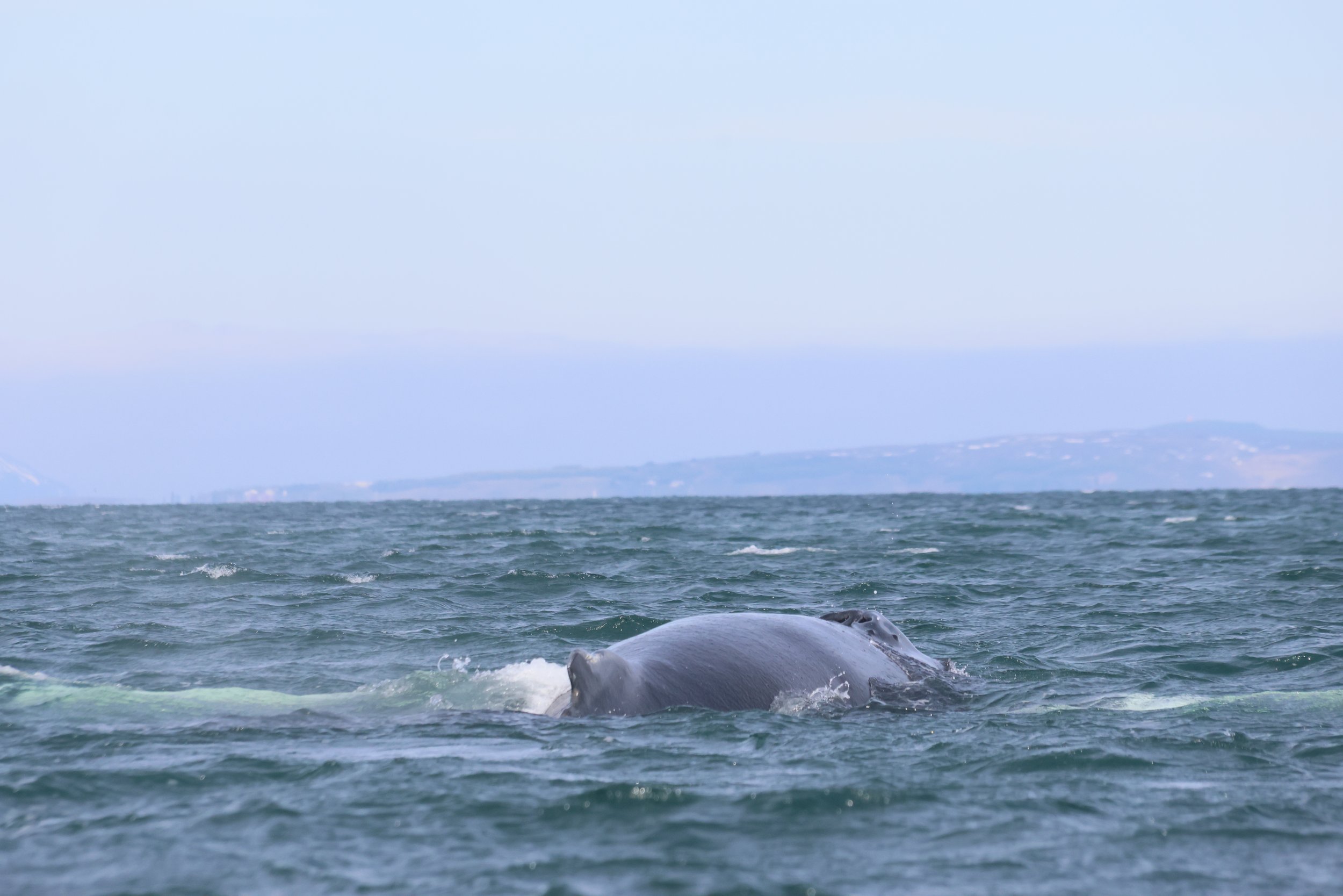 Tuesday, 11 June 2024