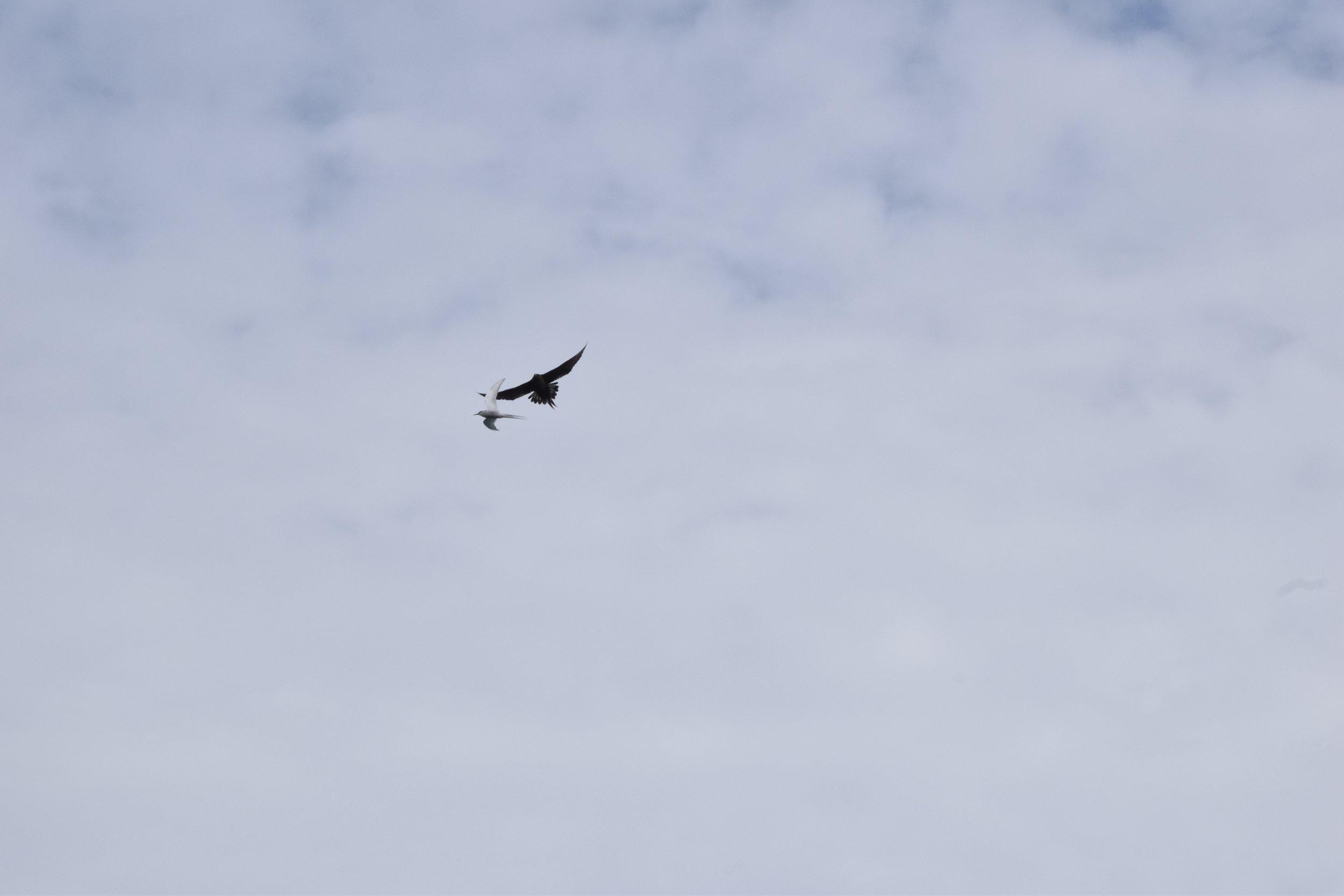 Monday, 17 June 2024