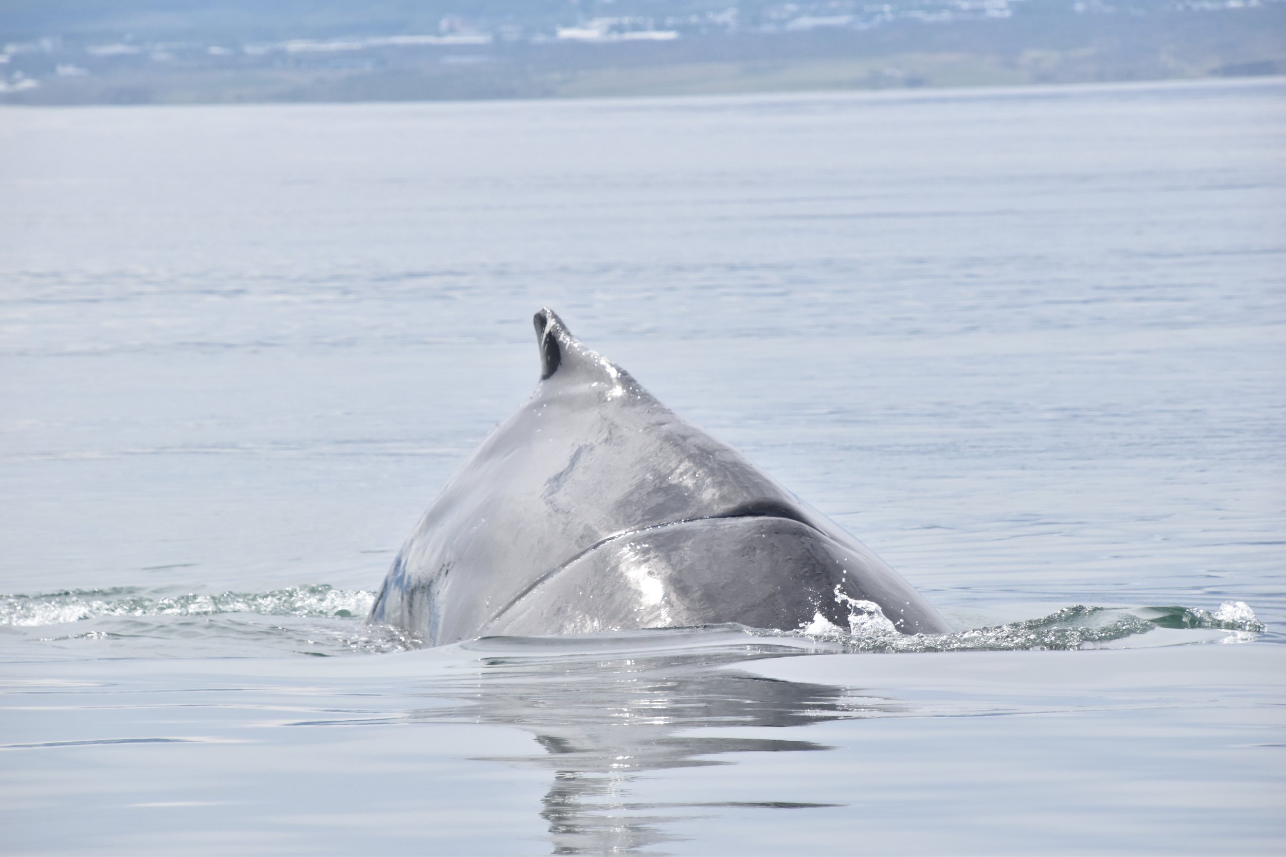 Monday, 17 June 2024