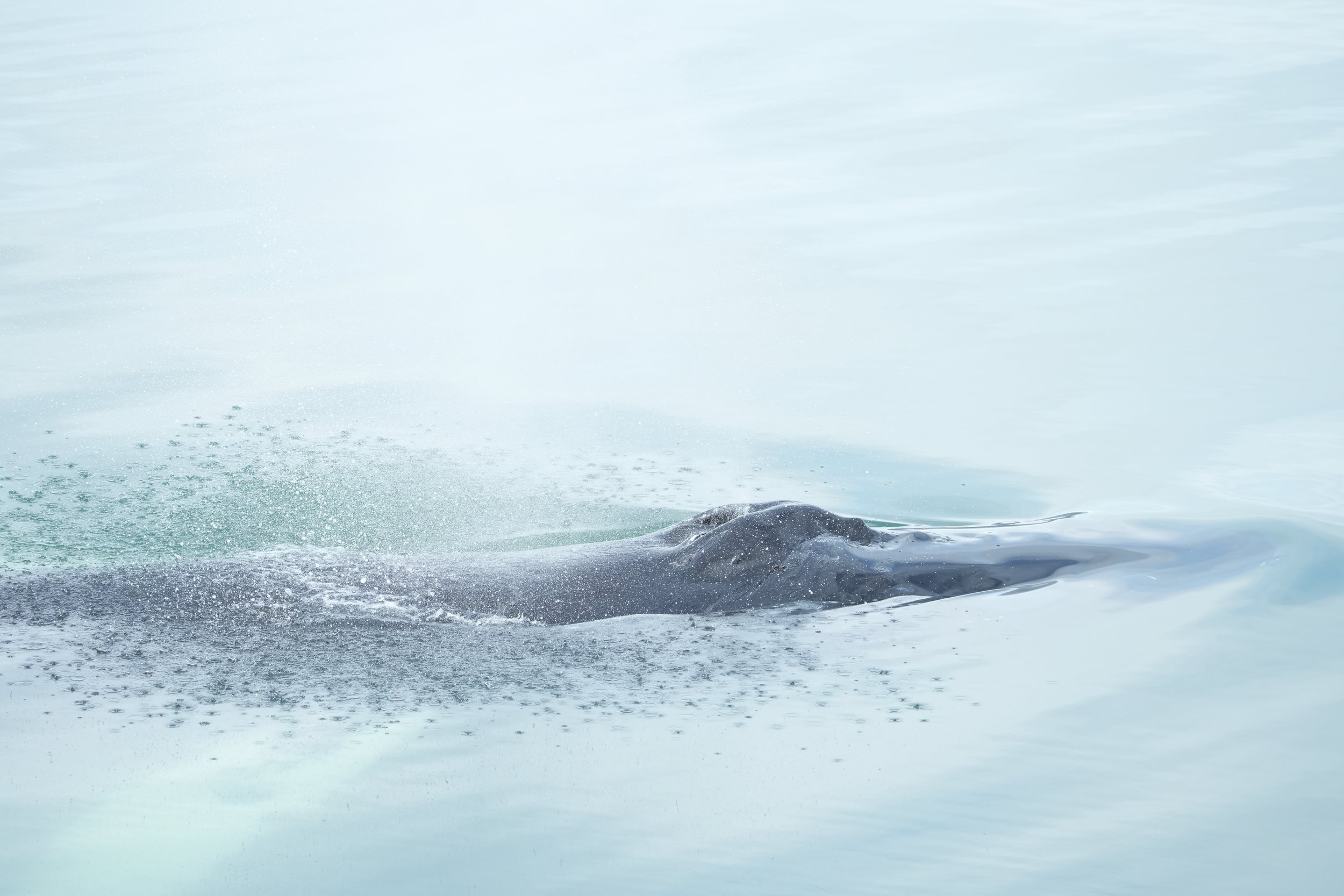 Tuesday, 18 June 2024
