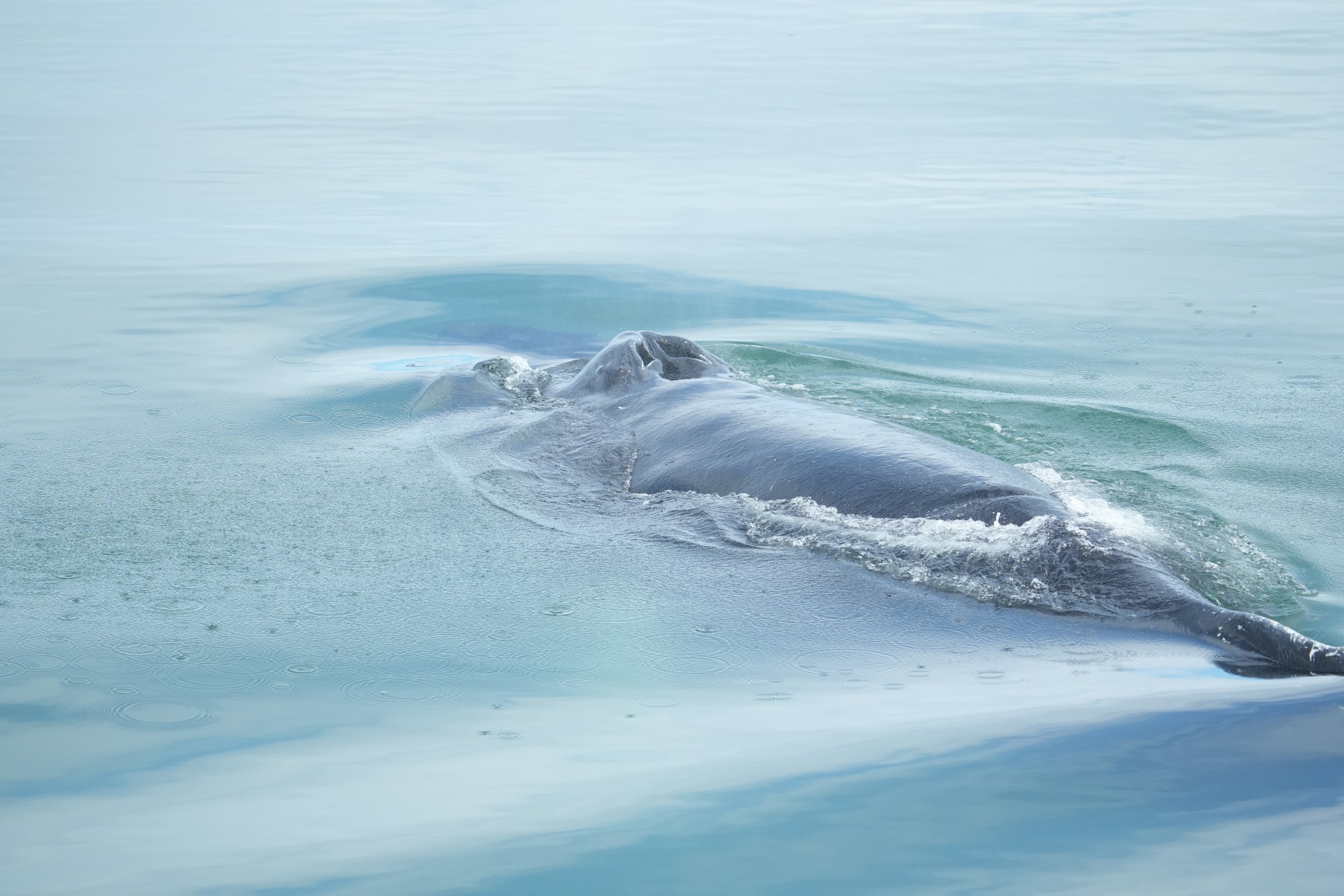 Tuesday, 18 June 2024