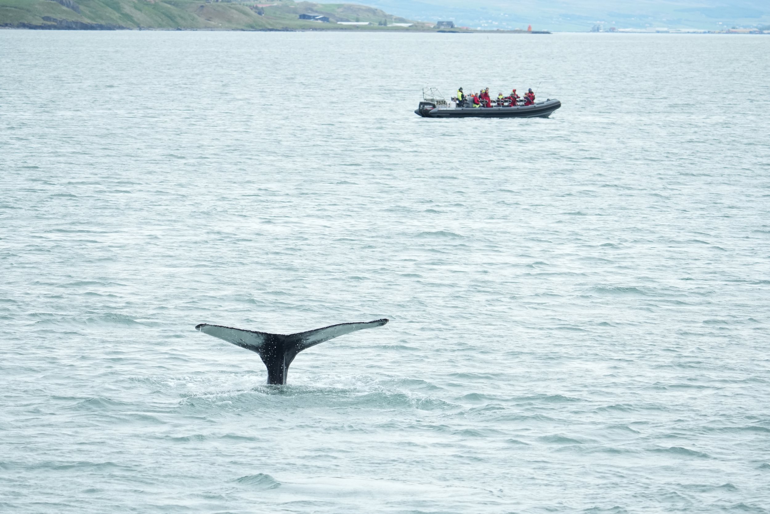 Tuesday, 18 June 2024