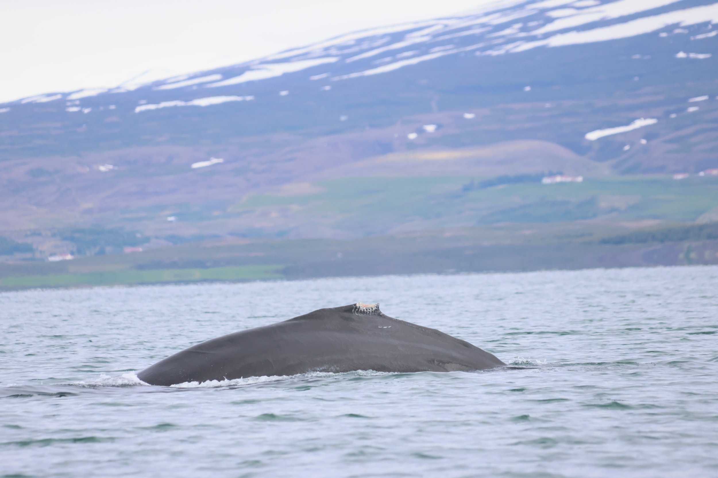 Thursday, 20 June 2024