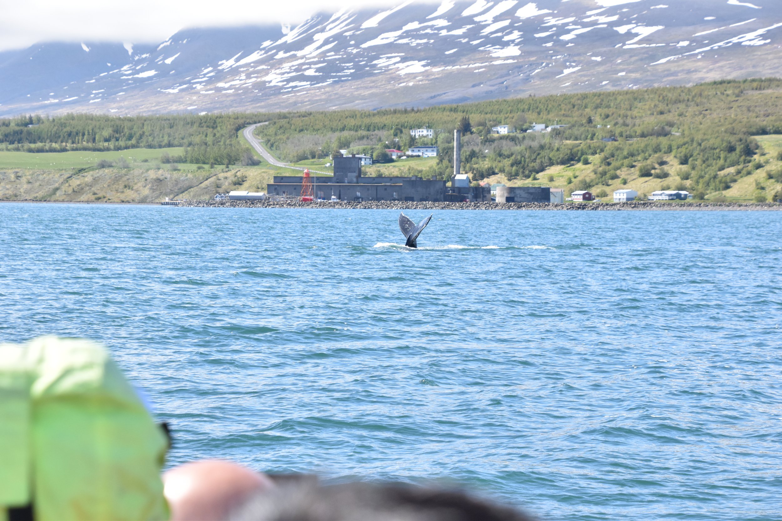 Thursday, 20 June 2024