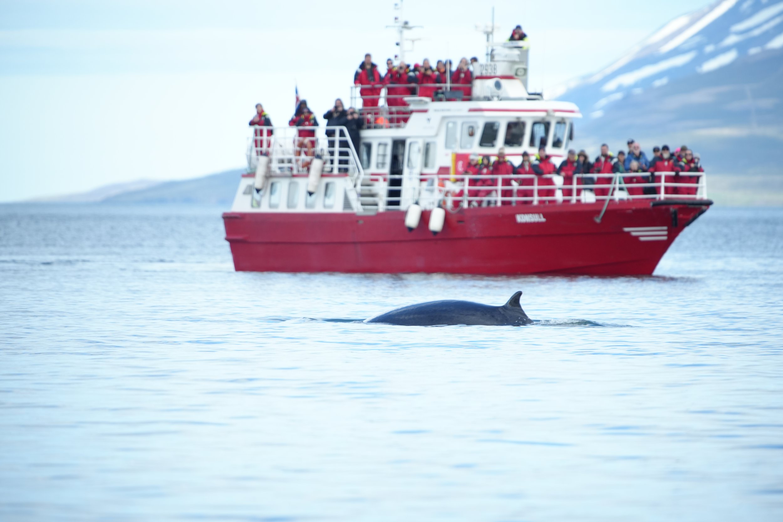 Monday, 24 June 2024