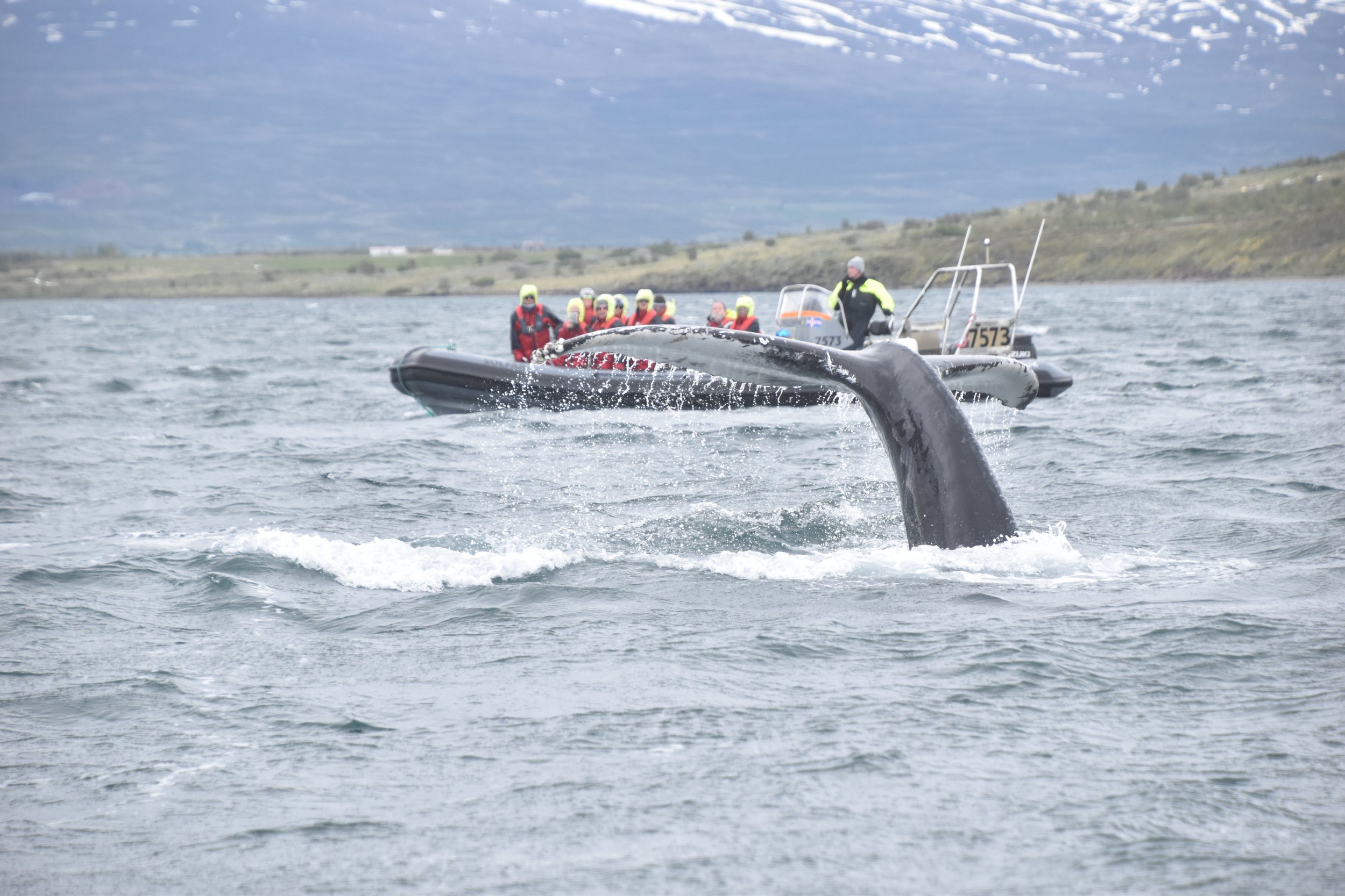 Tuesday, 25 June 2024