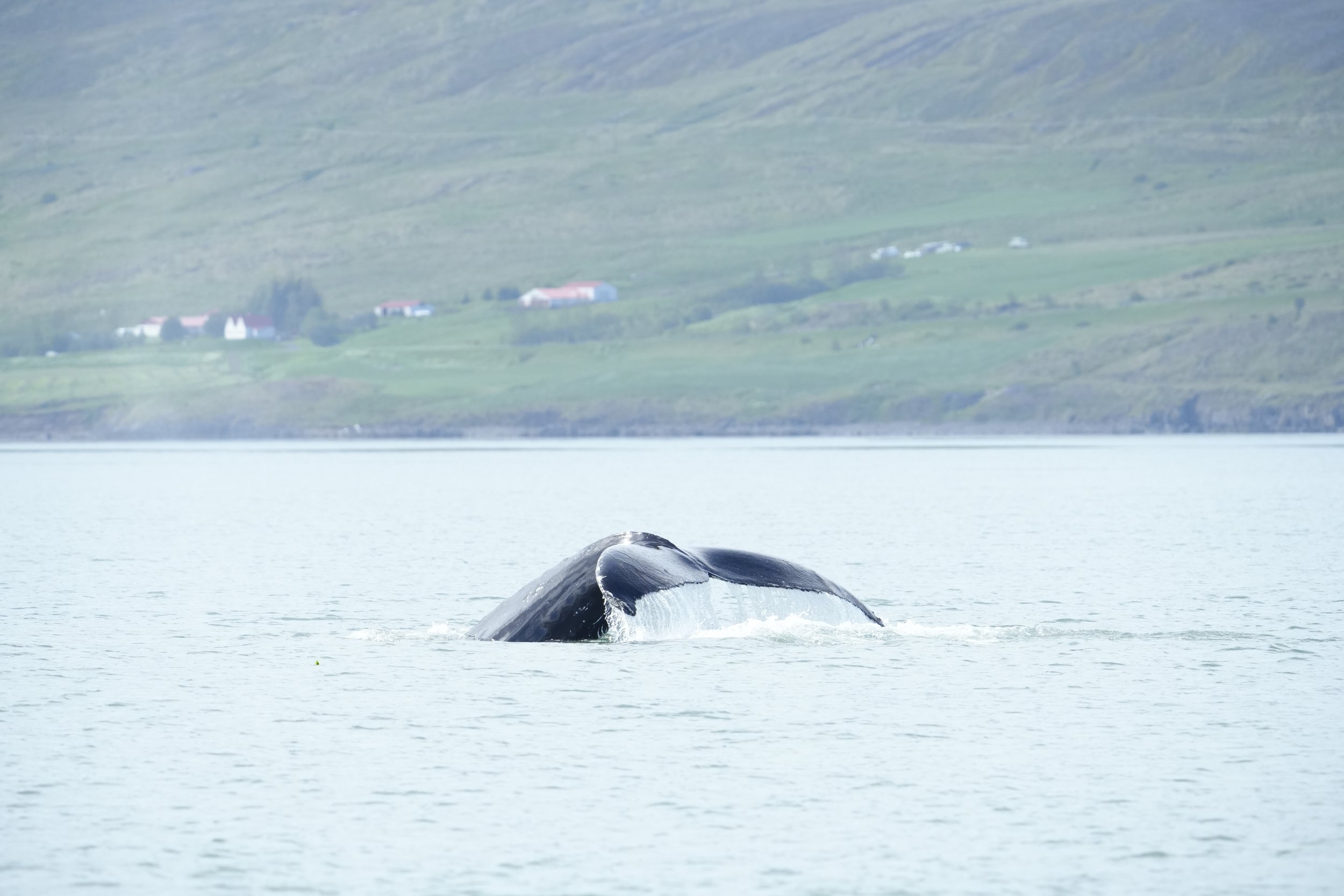 Tuesday, 2 July 2024