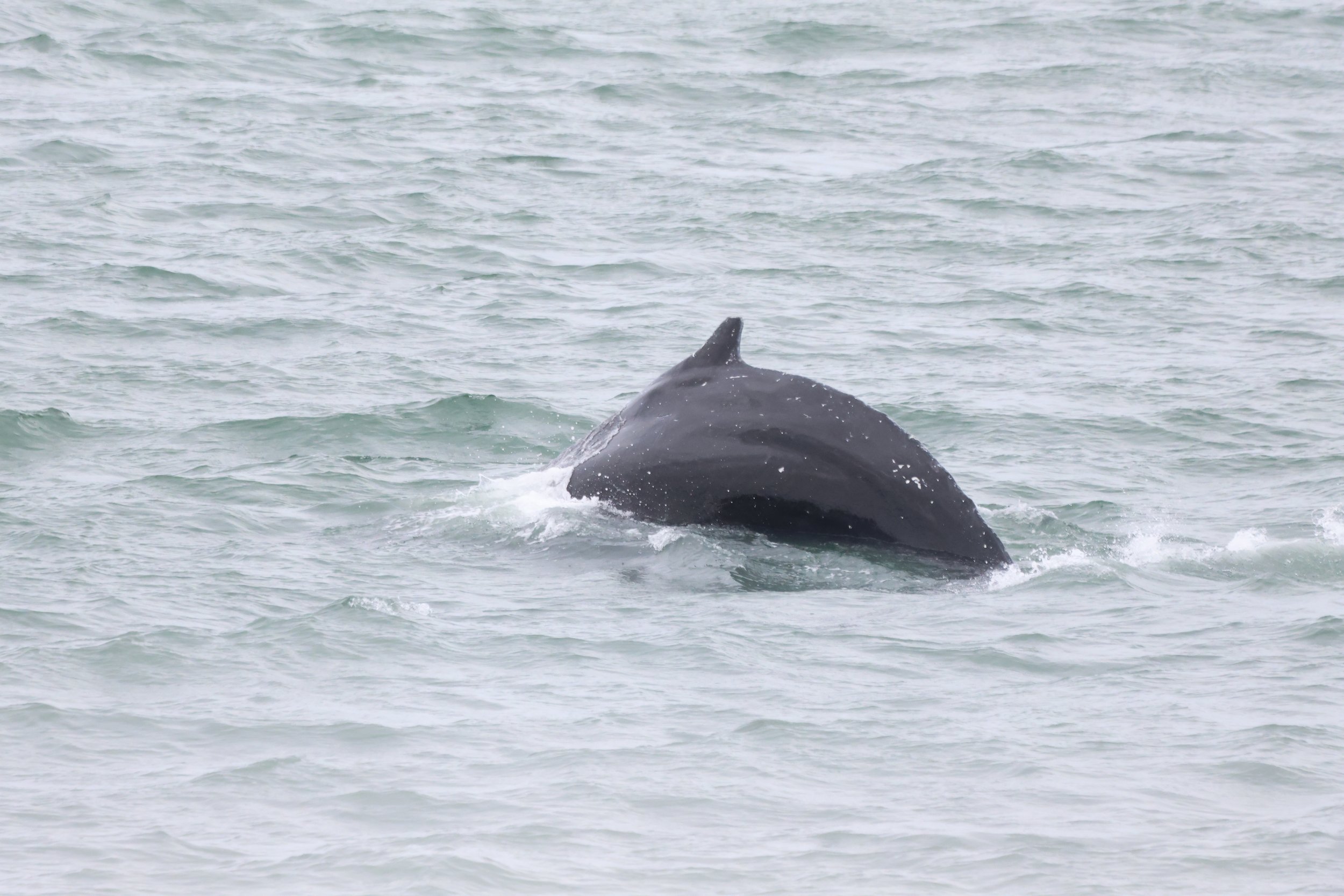 Tuesday, 2 July 2024