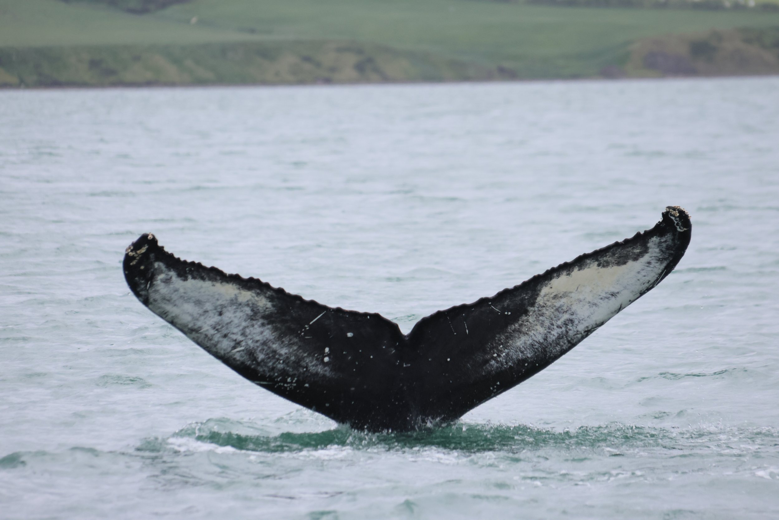 Wednesday, 3 July 2024
