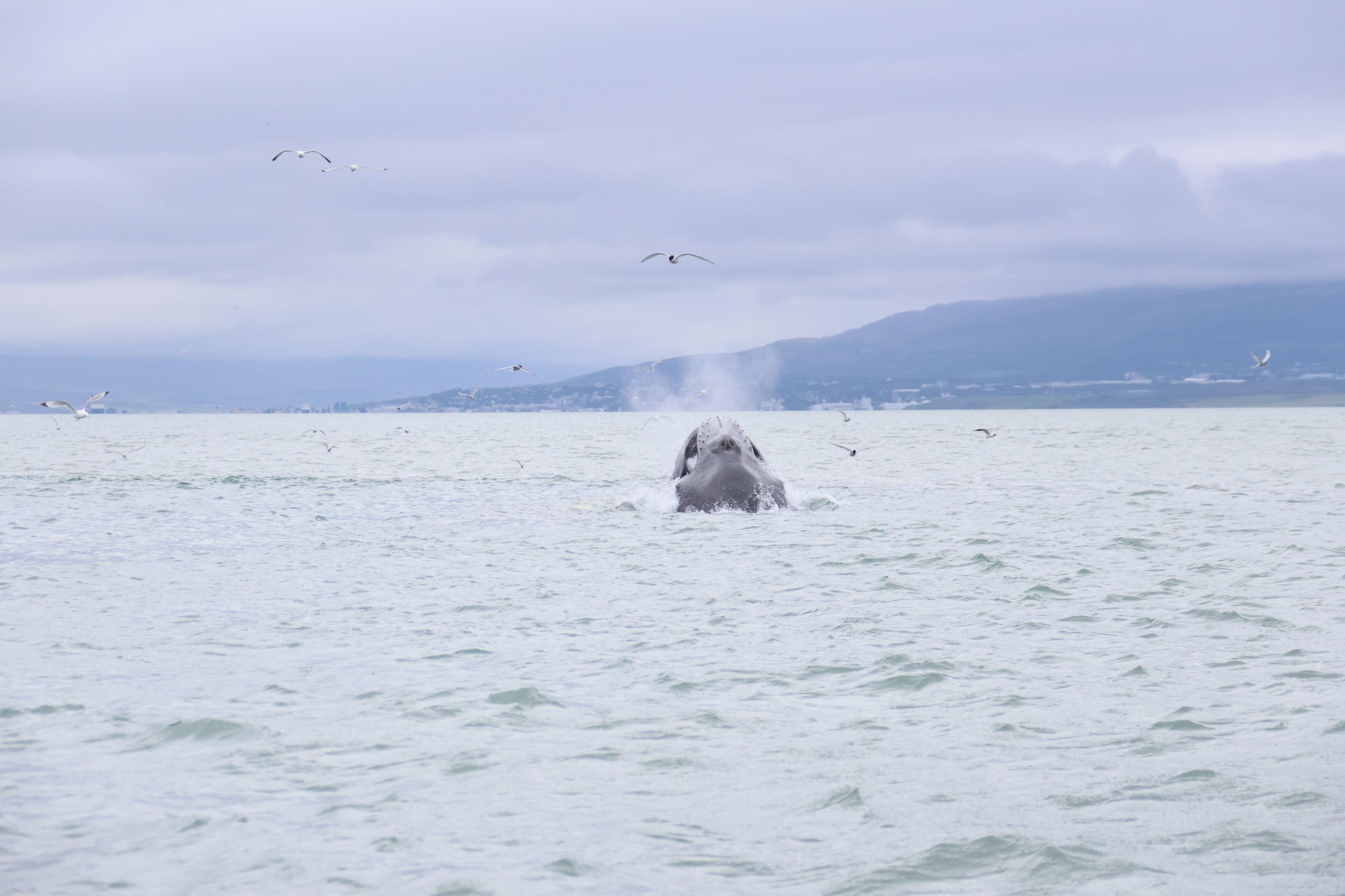 Wednesday, 3 July 2024