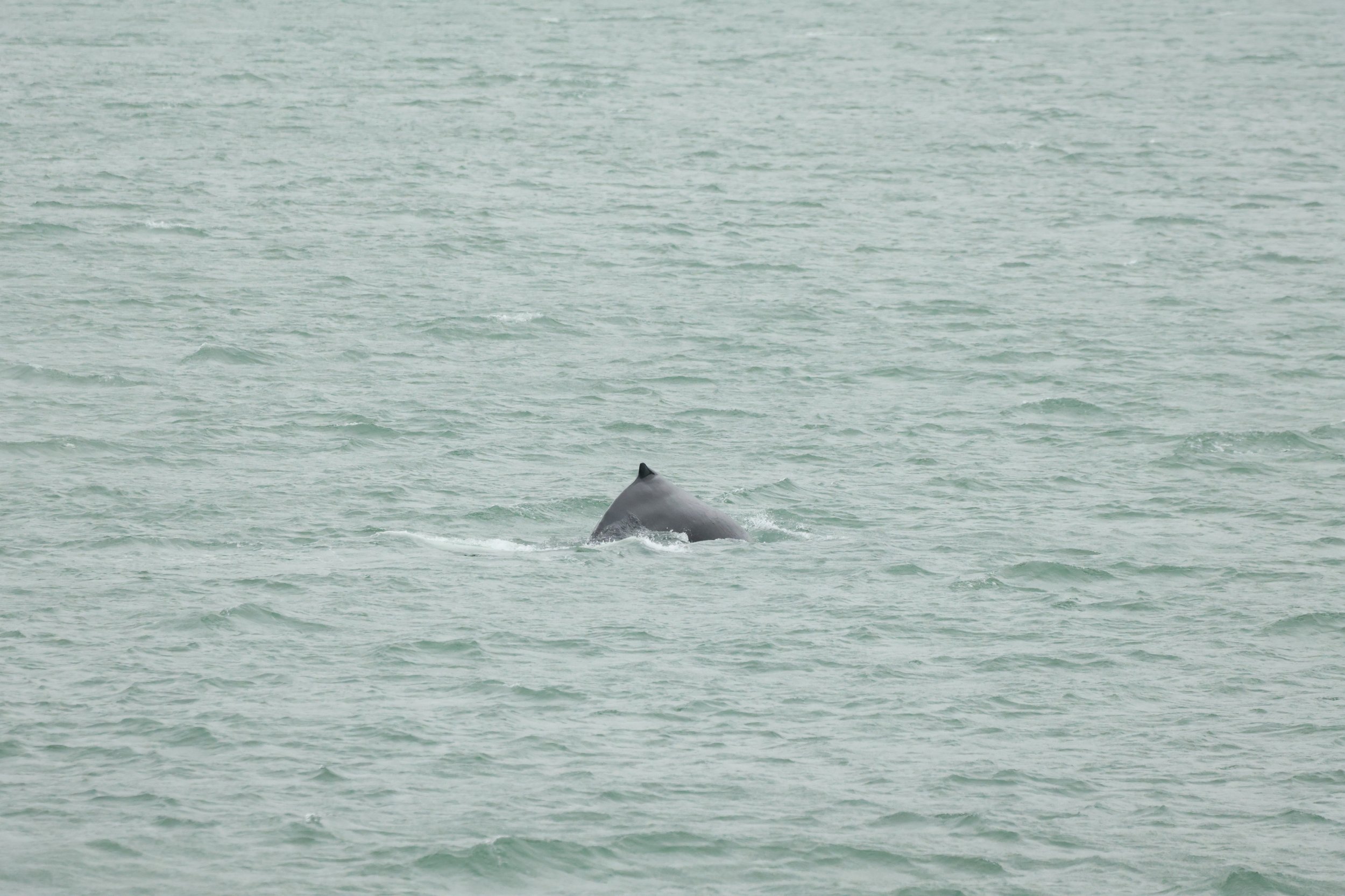 Thursday, 4 July 2024
