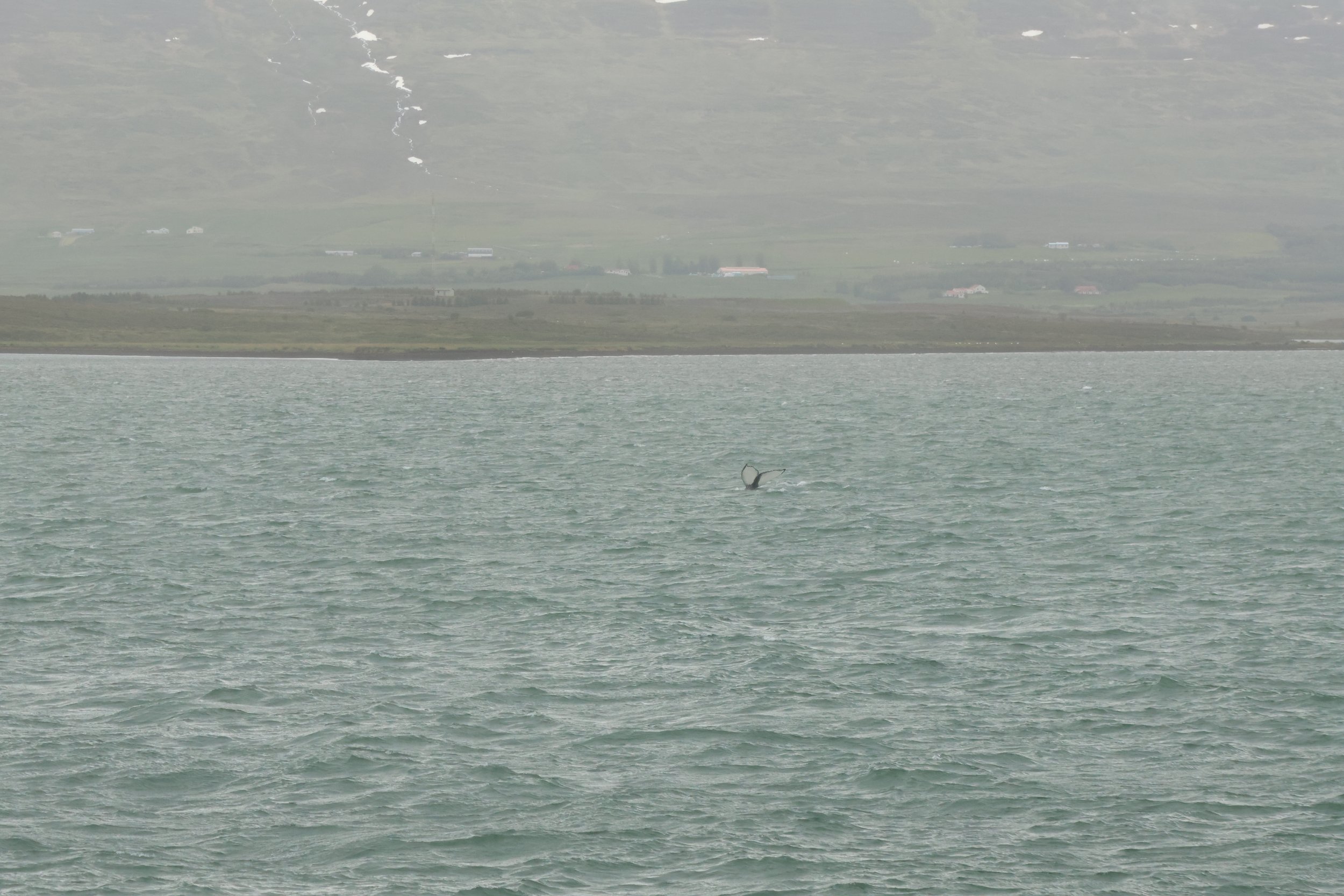 Thursday, 4 July 2024