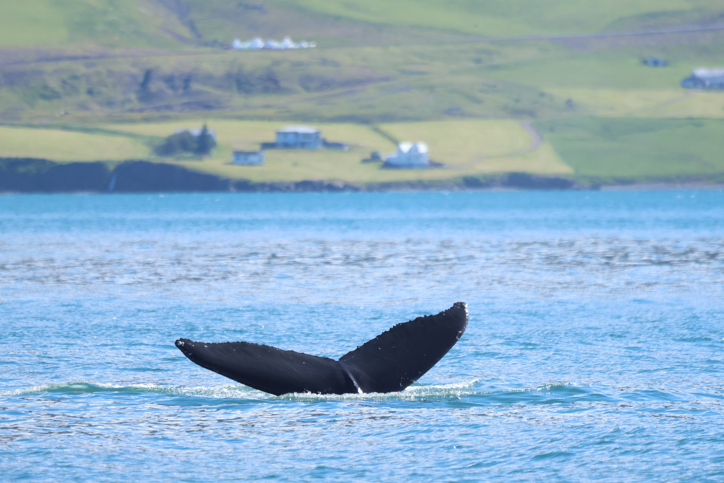 Tuesday, 9 July 2024