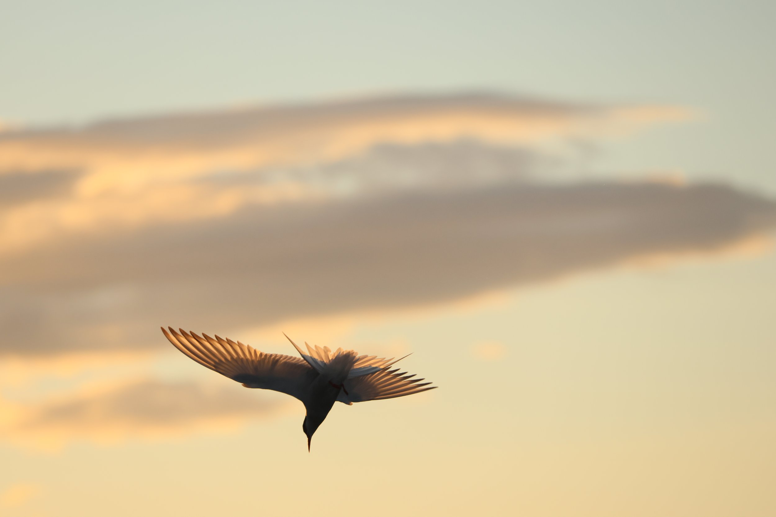 Tuesday, 16 July 2024
