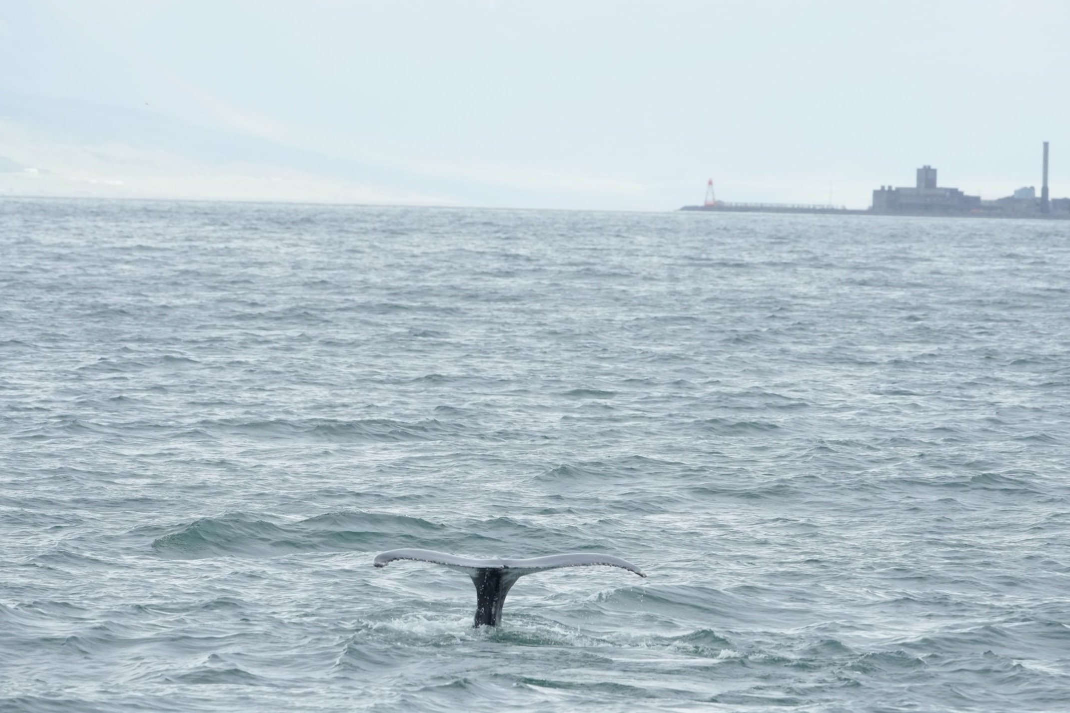 Monday, 22 July 2024