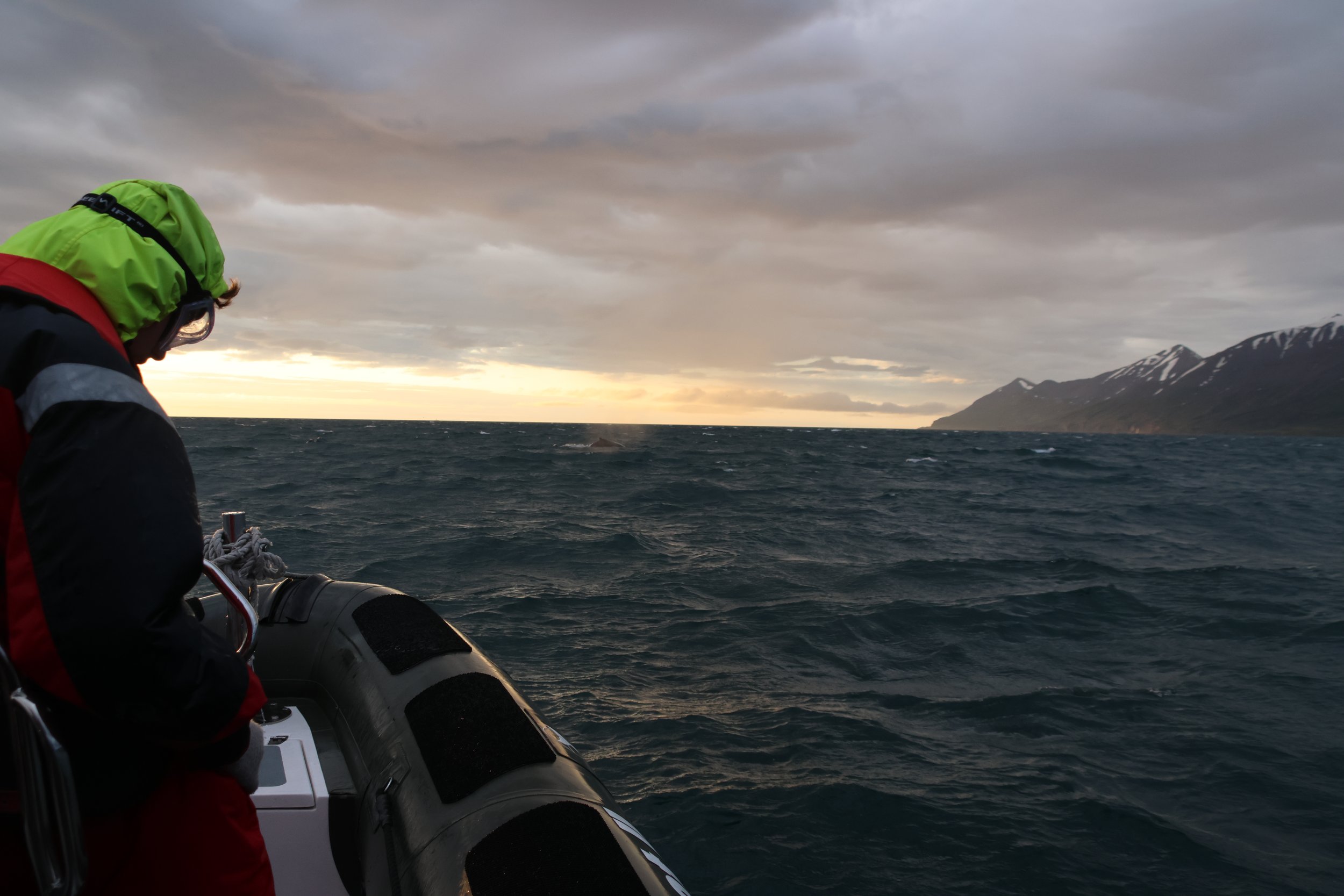 Monday, 29 July 2024