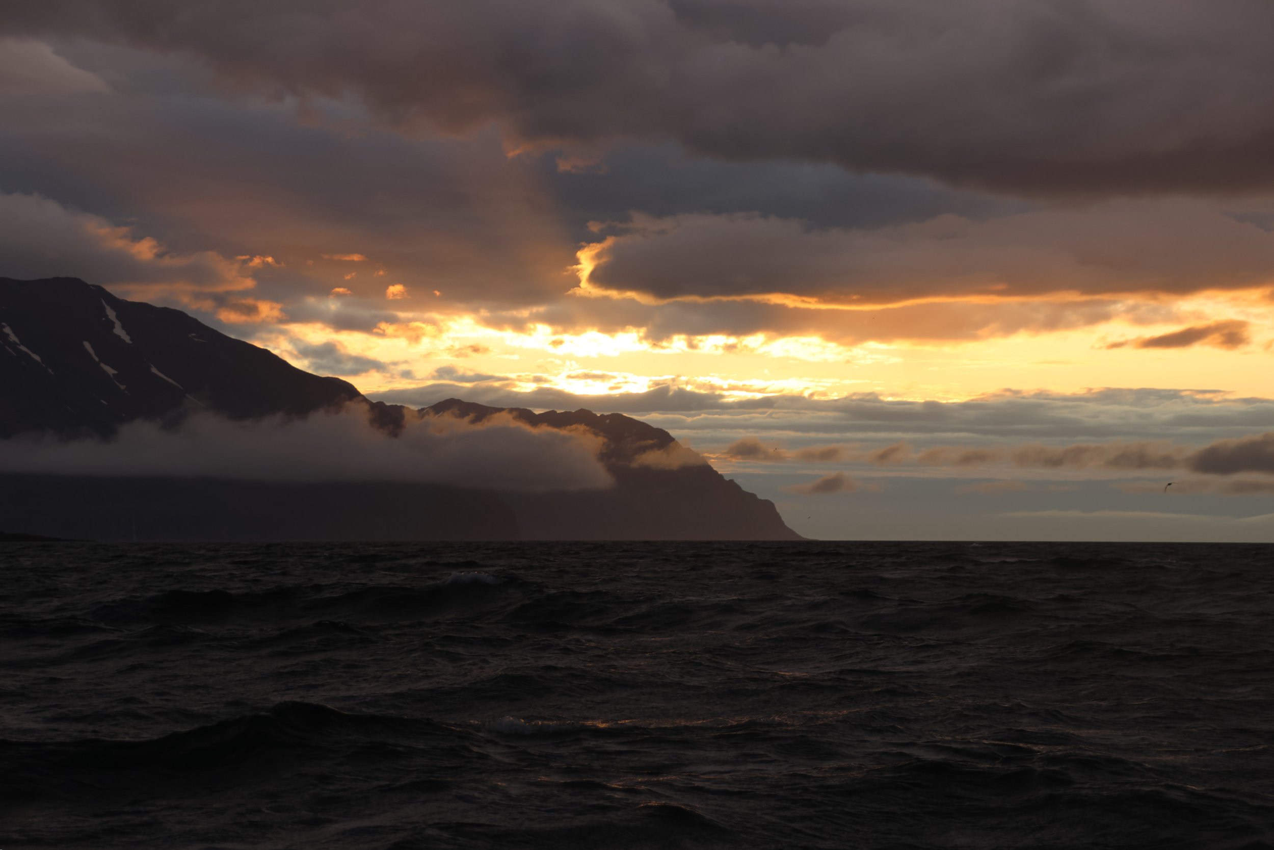 Monday, 29 July 2024