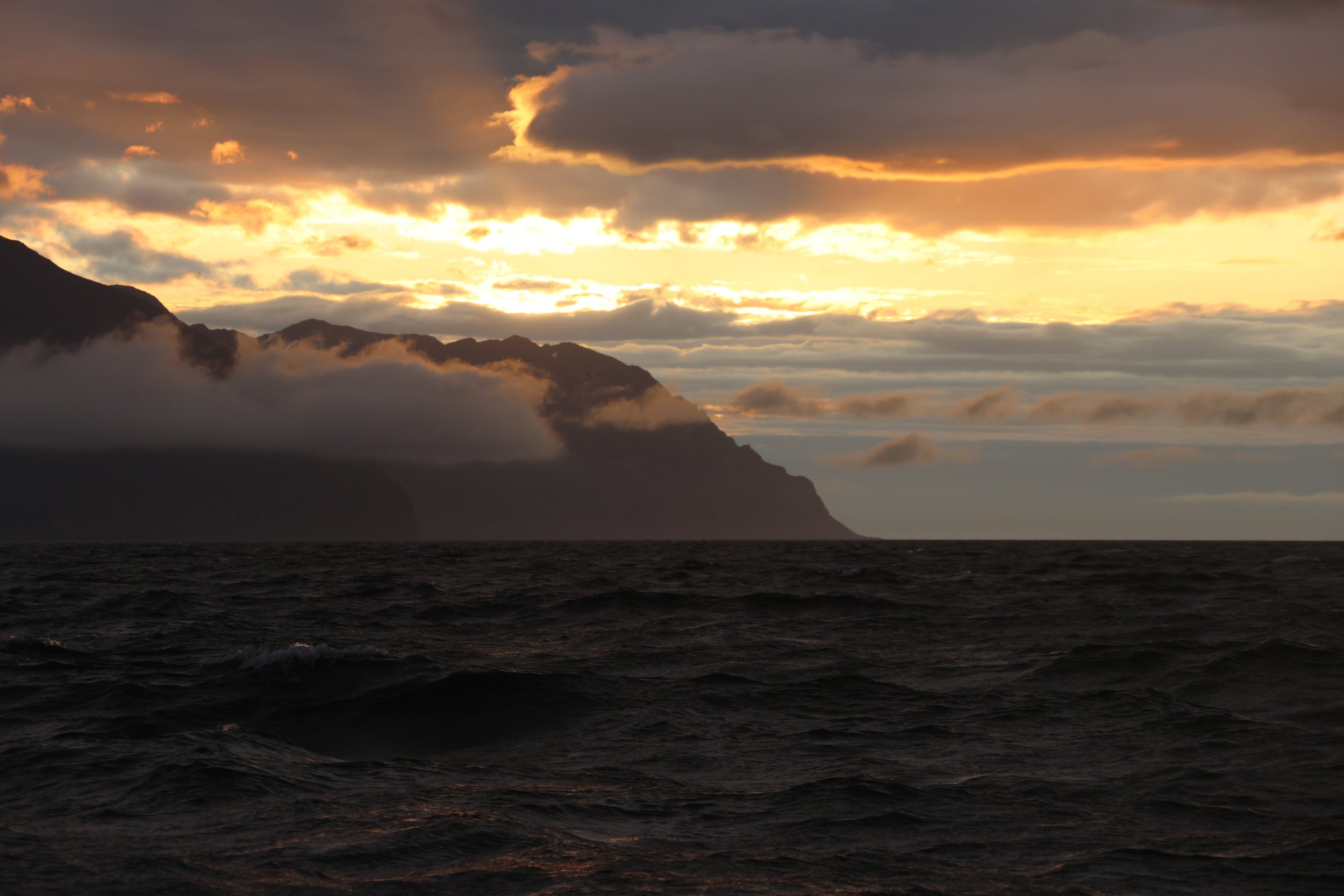 Monday, 29 July 2024