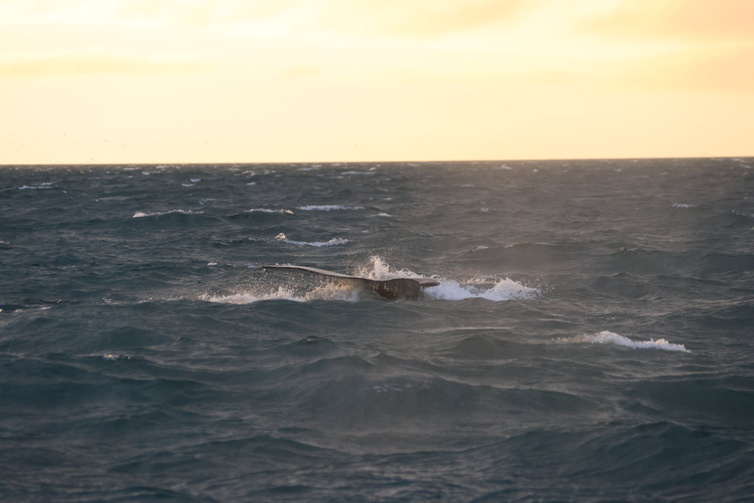 Monday, 29 July 2024