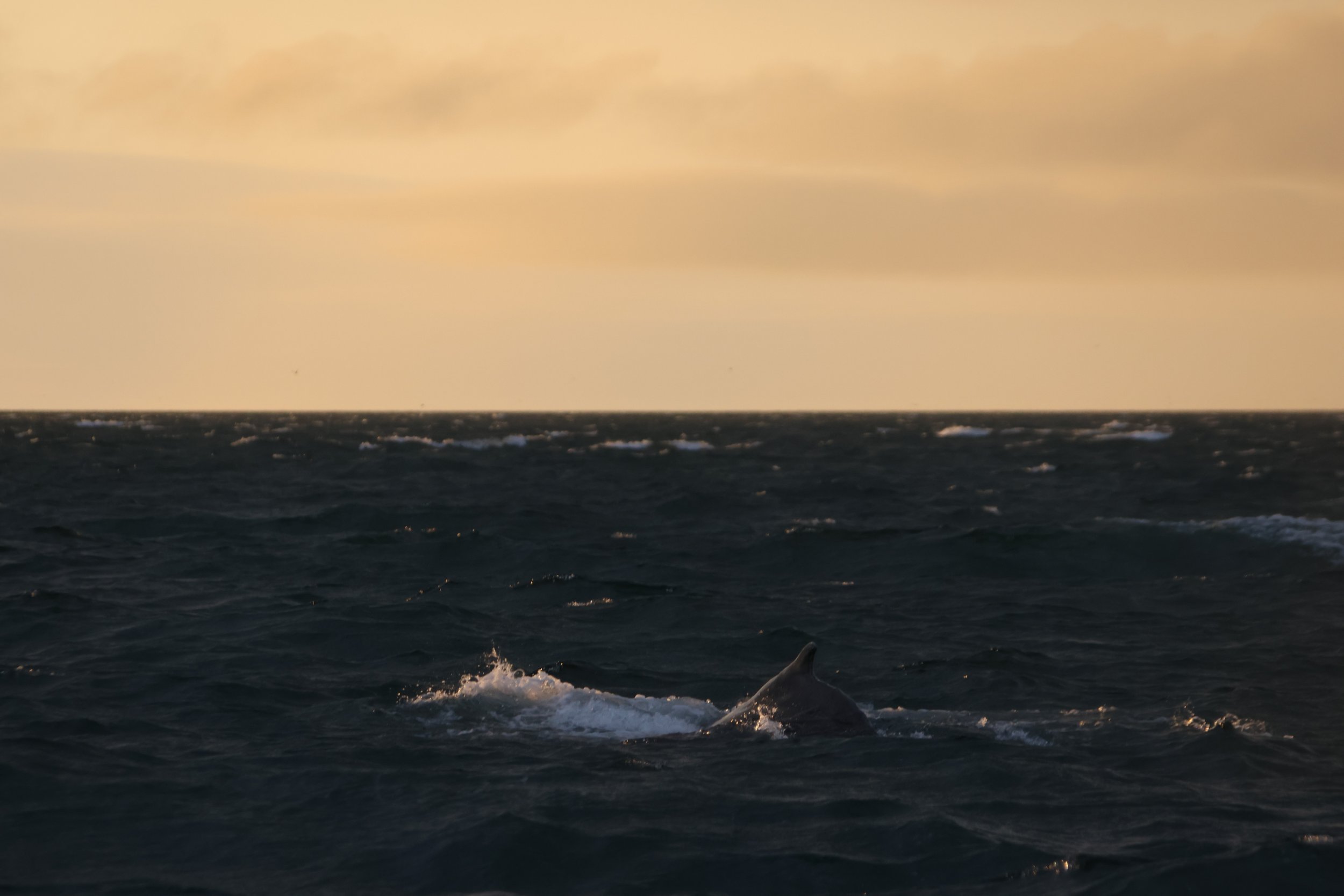 Monday, 29 July 2024