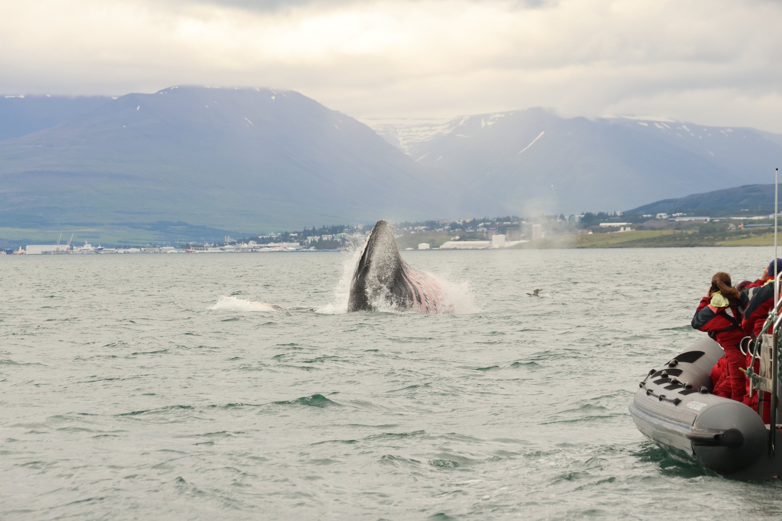 Thursday, 1 August 2024