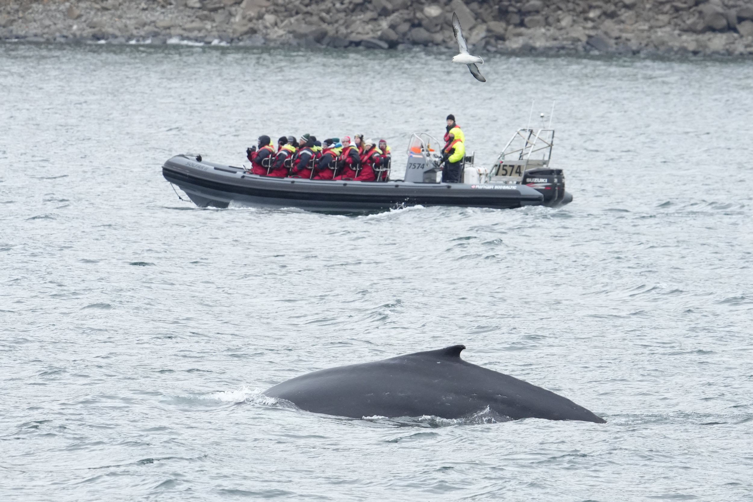 Wednesday, 7 August 2024