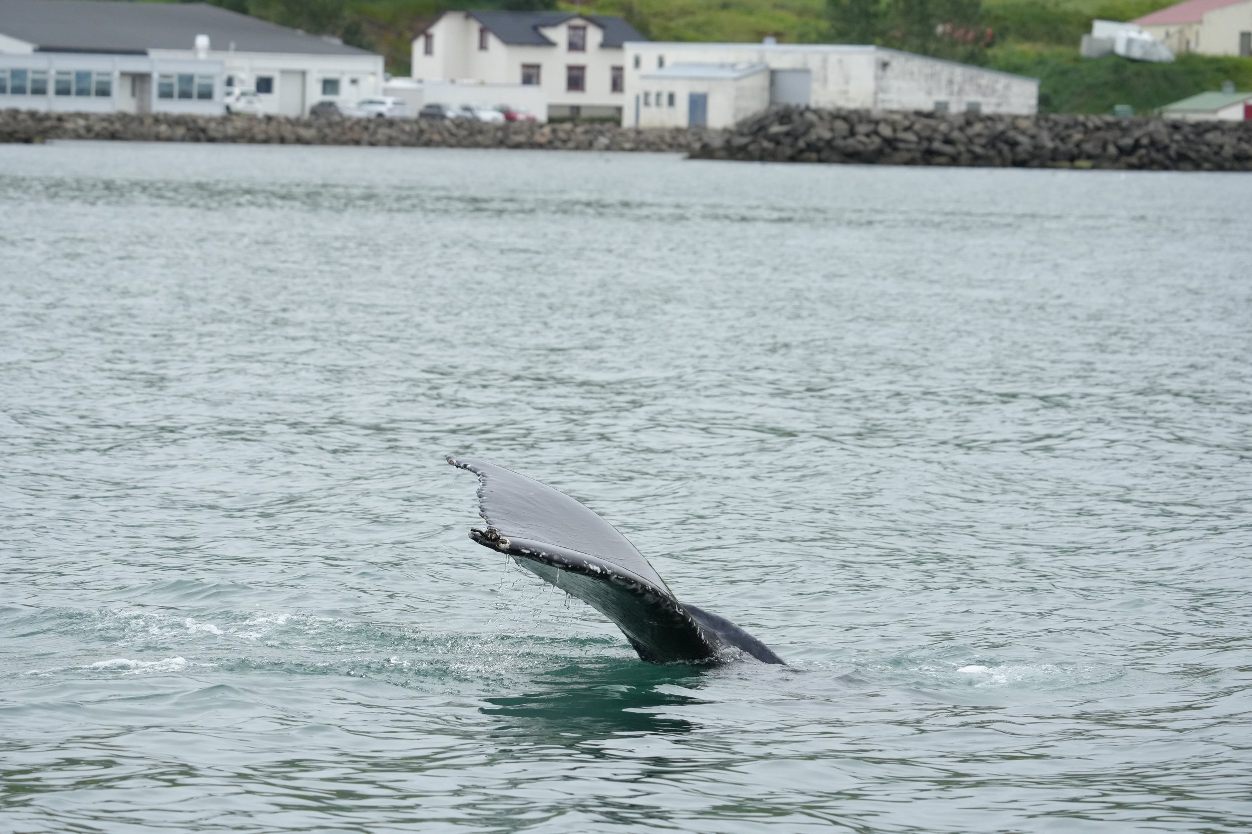 Thursday, 8 August 2024
