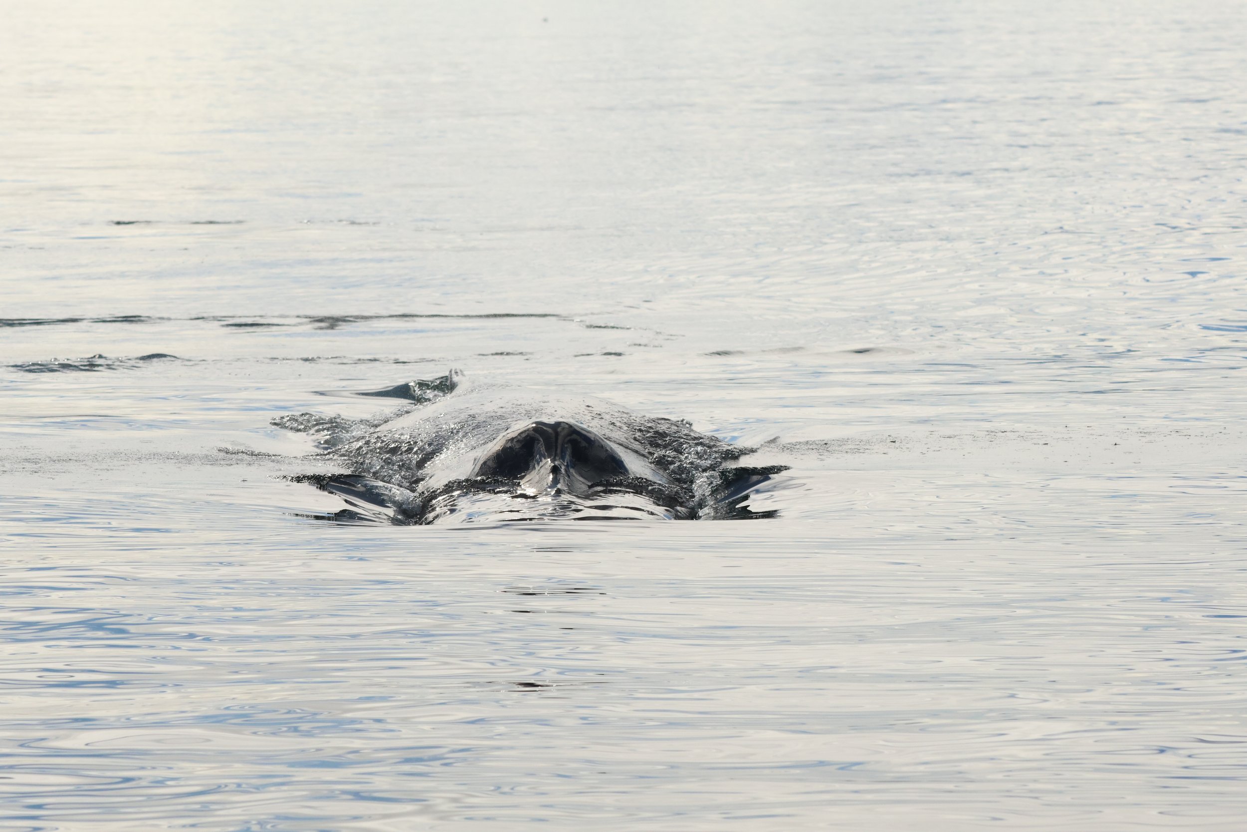 Tuesday, 13 August 2024