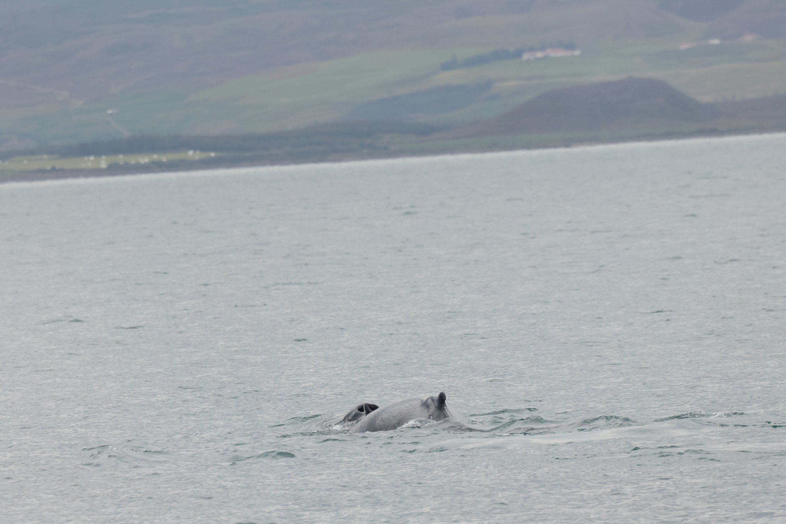 Monday, 2 September 2024
