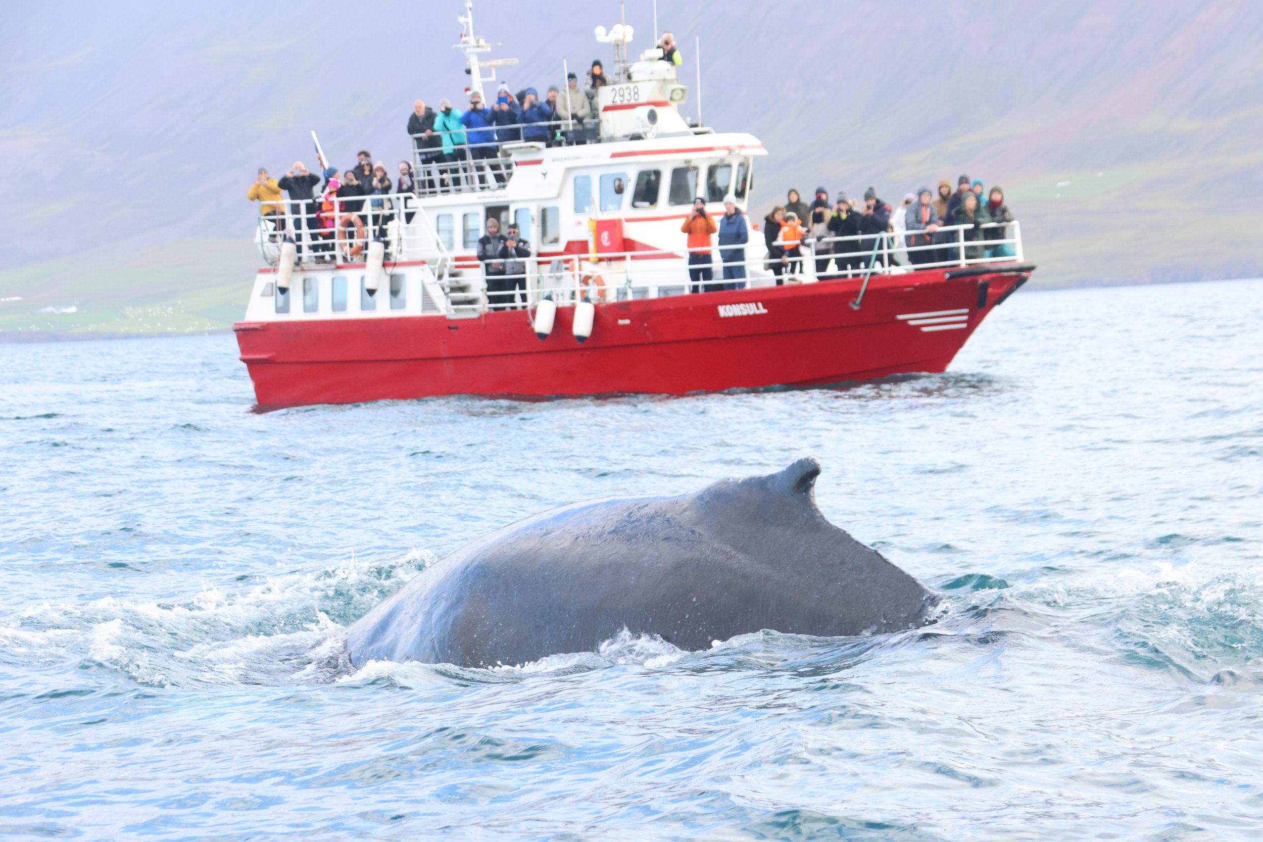 Tuesday, 3 September 2024