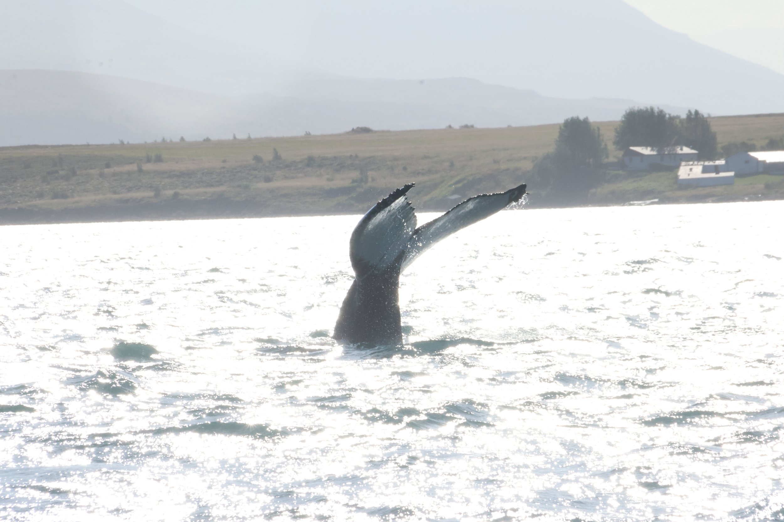 Tuesday, 3 September 2024